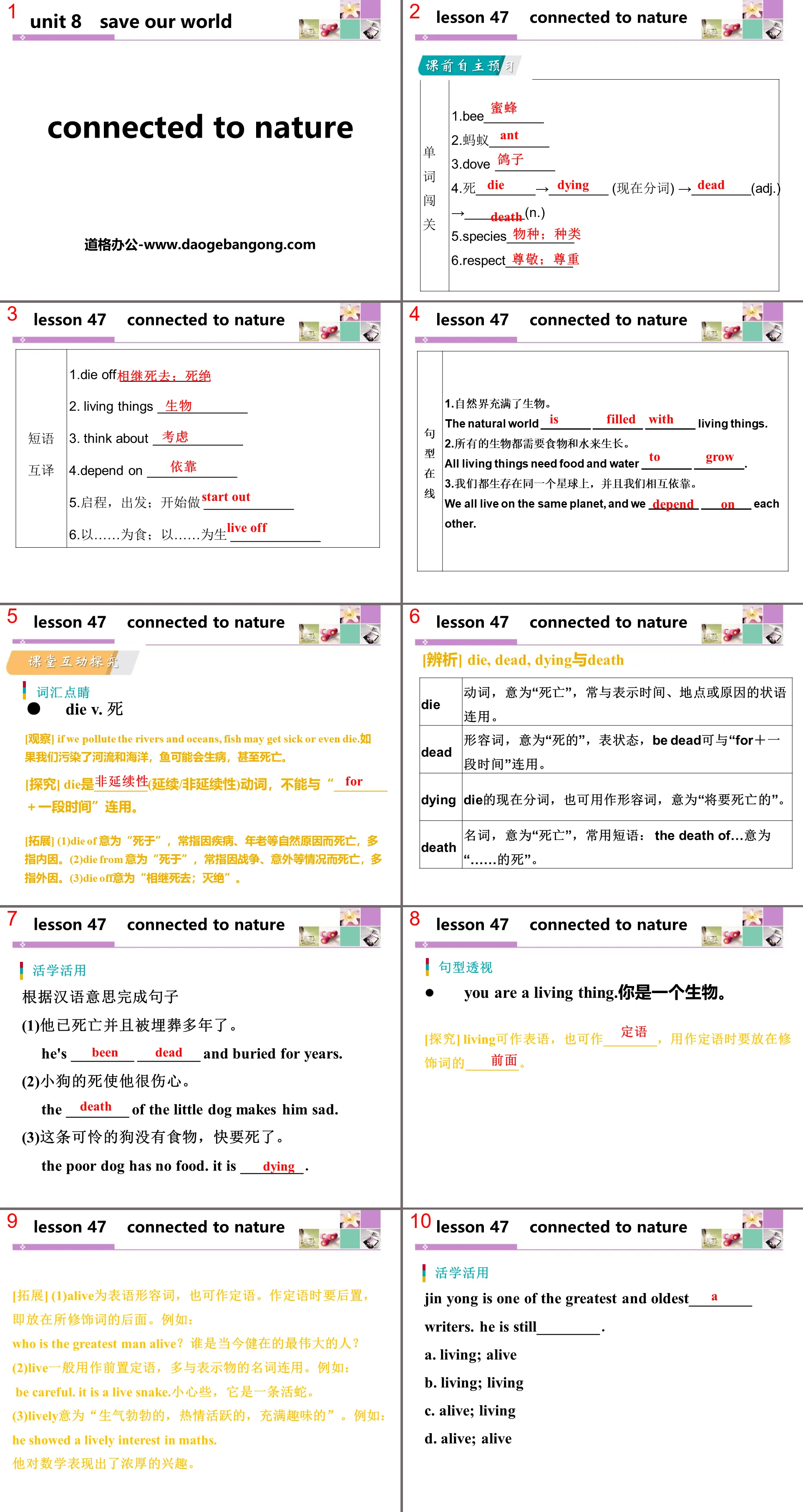 《Connected to Nature》Save Our World! PPT教学课件