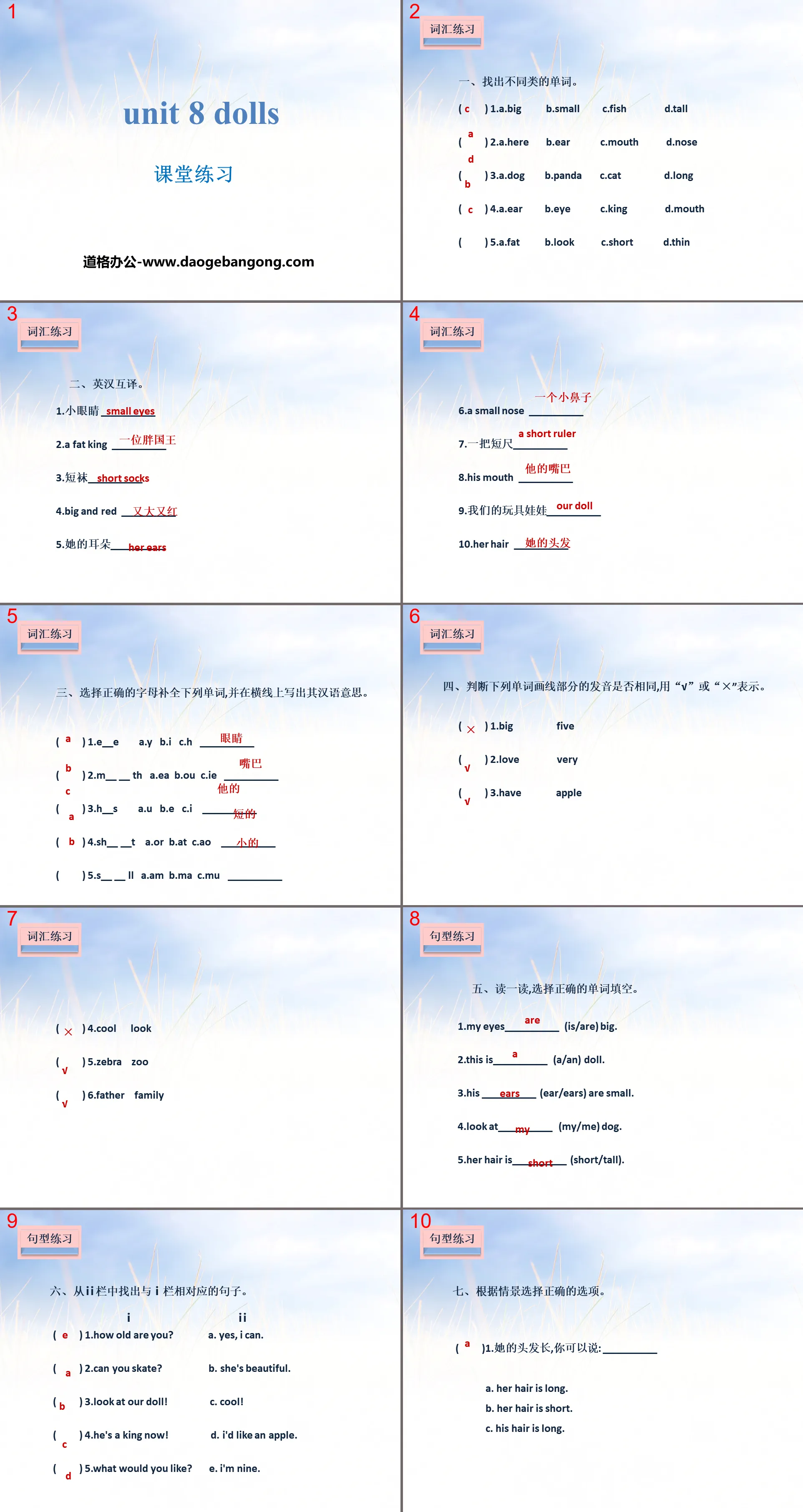 "Dolls" classroom practice PPT