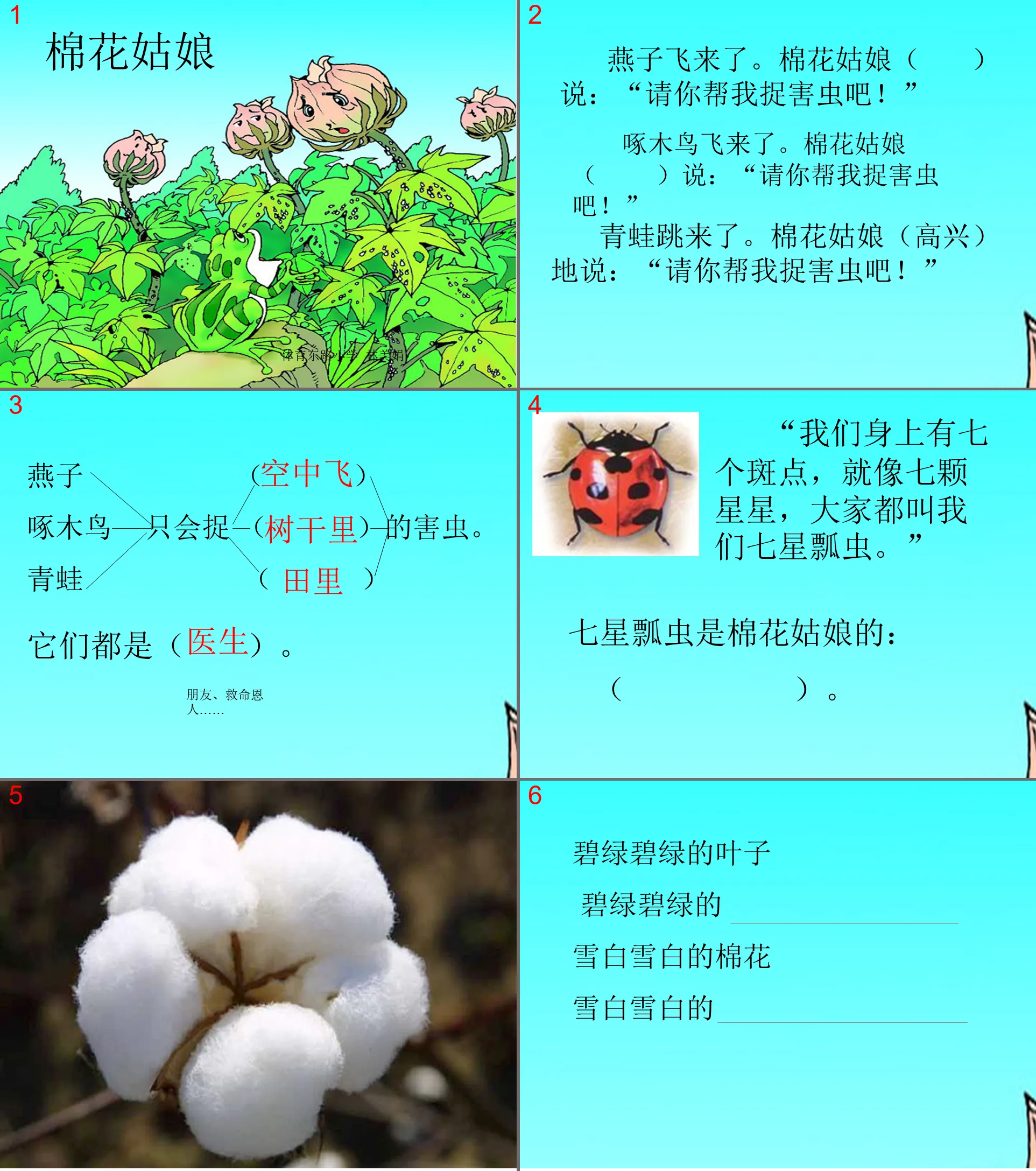 《棉花姑娘》PPT课件4