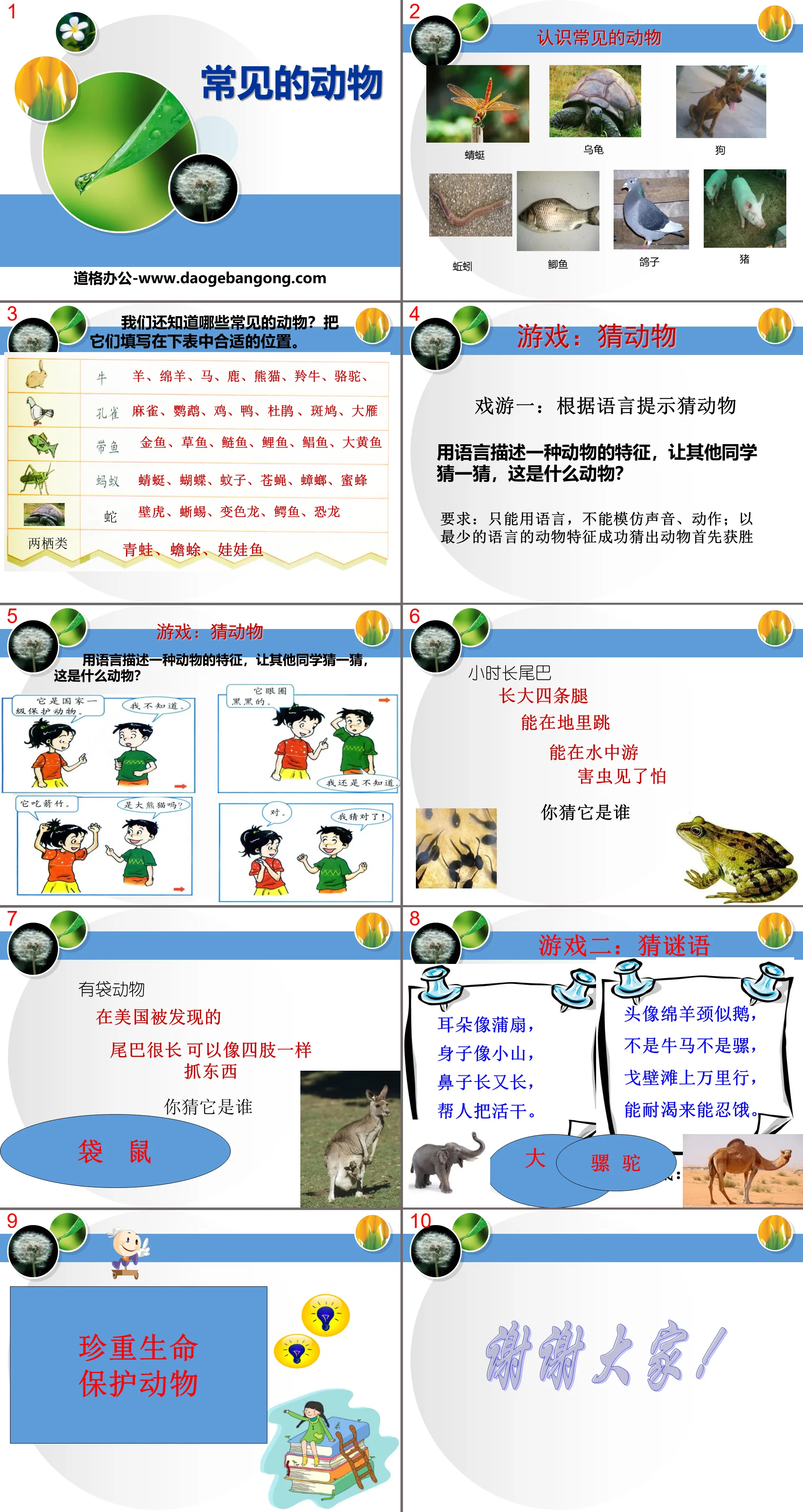 "Common Animals" Animals and Plants Around You PPT Courseware