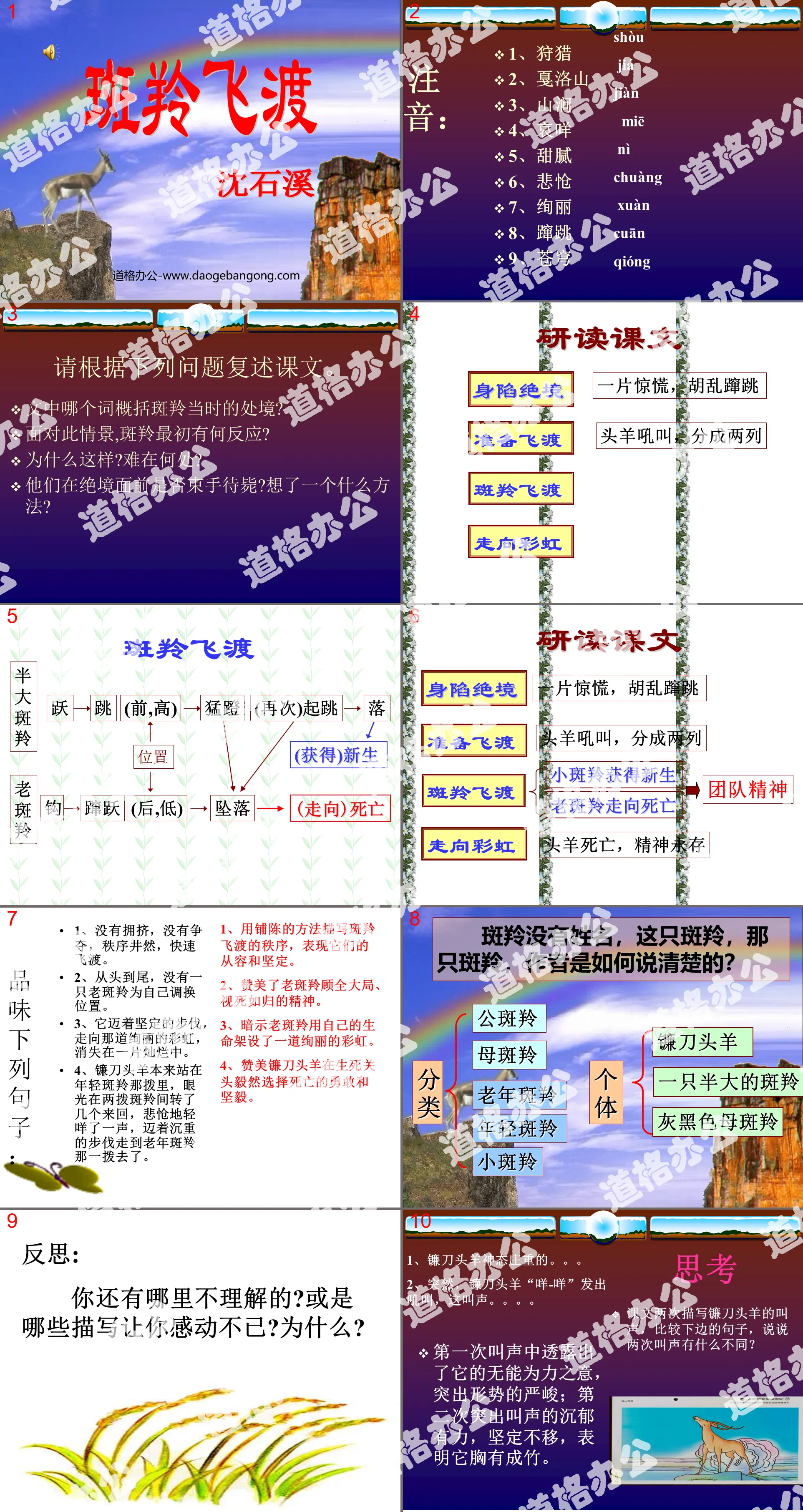 《斑羚飞渡》PPT课件6