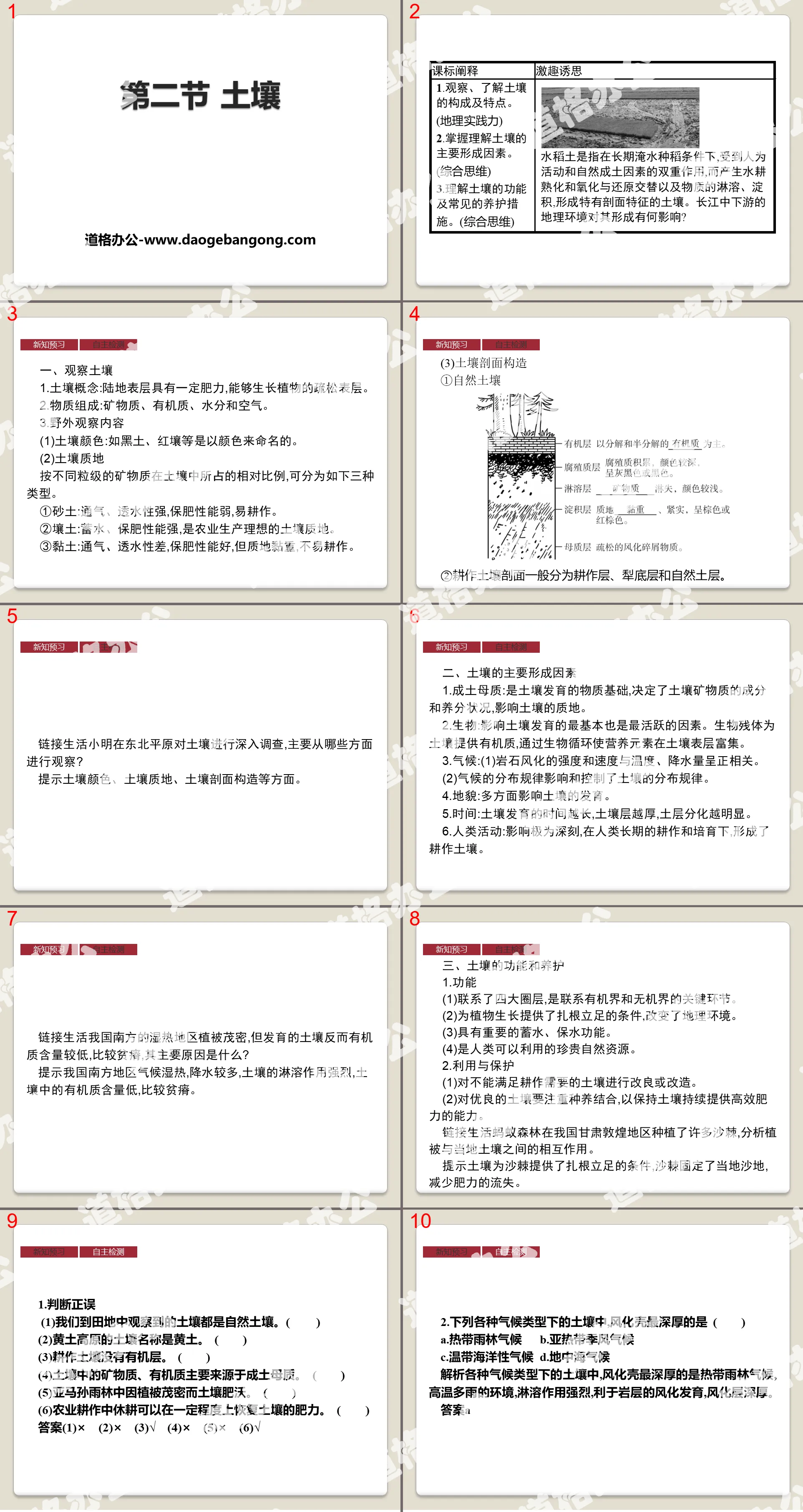 《土壤》植被與土壤PPT課件