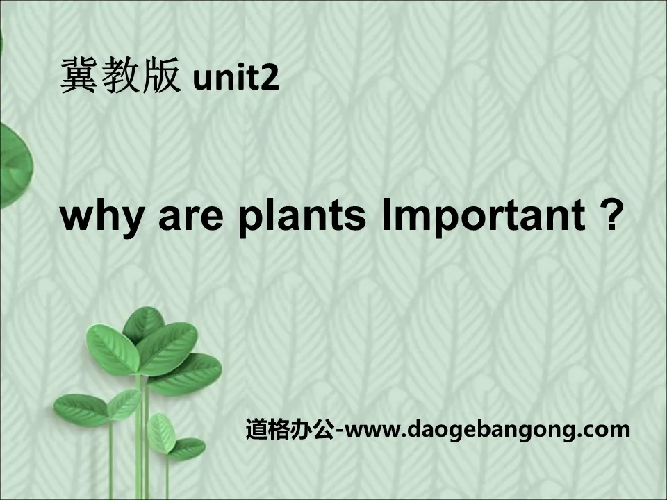 《Why Are Plants Important?》Plant a Plant PPT课件