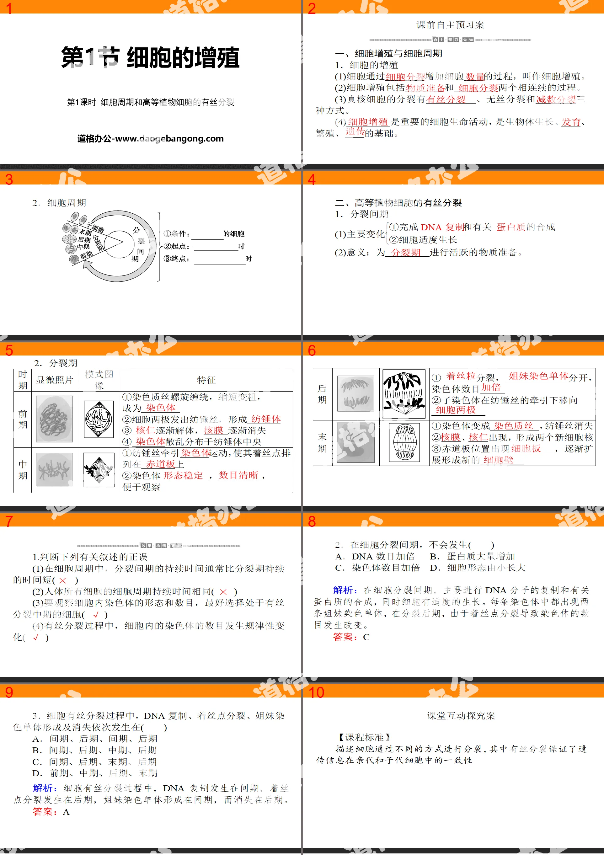 "Cell Proliferation" Cell Life Process PPT Download