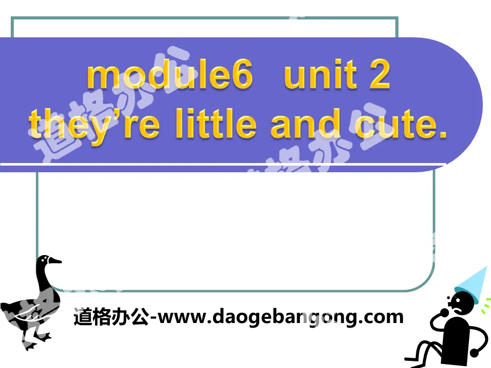 "They’re little and cute" PPT courseware 5