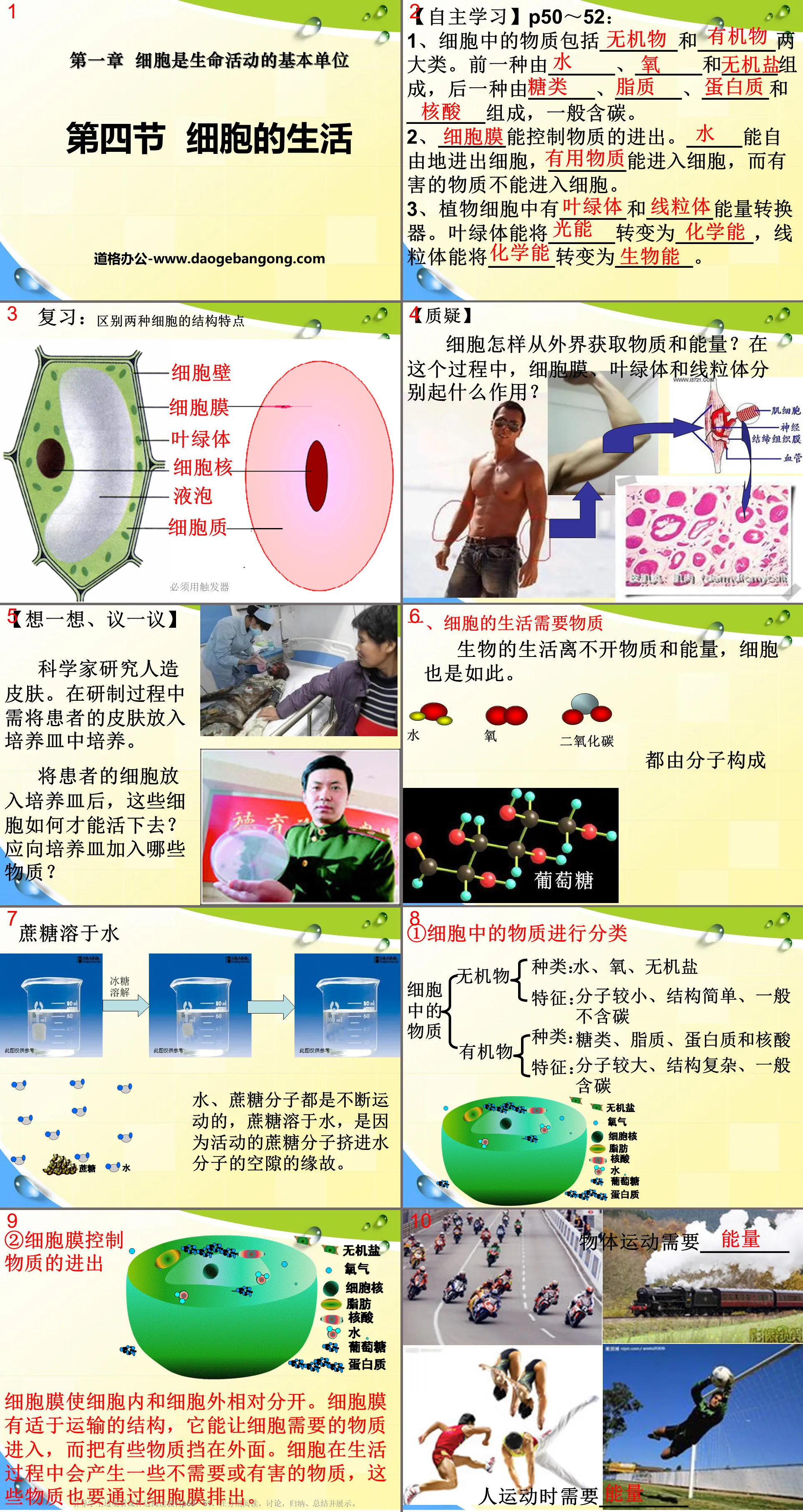 《細胞的生活》細胞是生命活動的基本單位PPT課程8