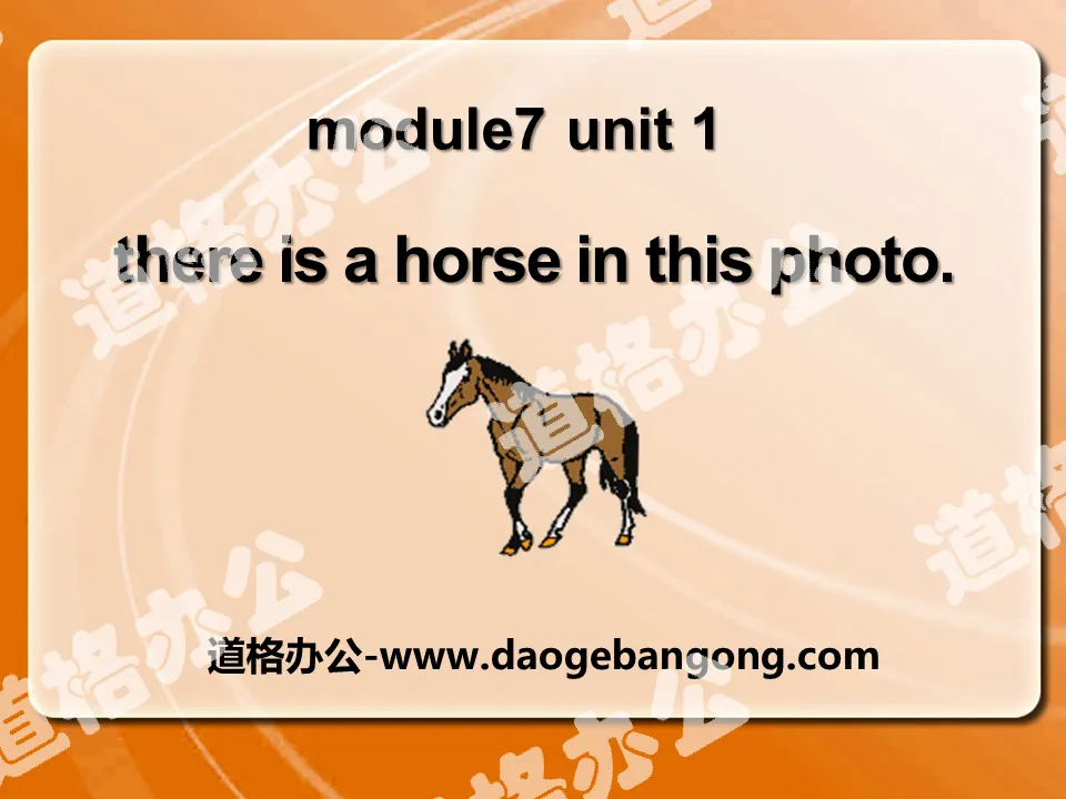《There is a horse in this photo》PPT课件4
