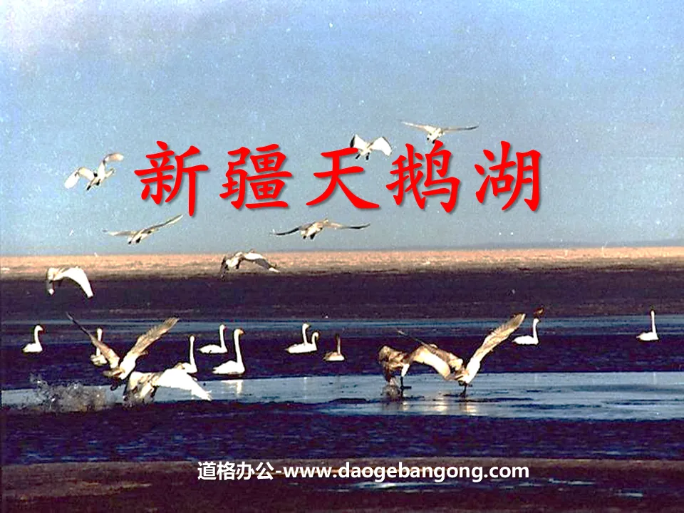 "Xinjiang Swan Lake" PPT courseware 4