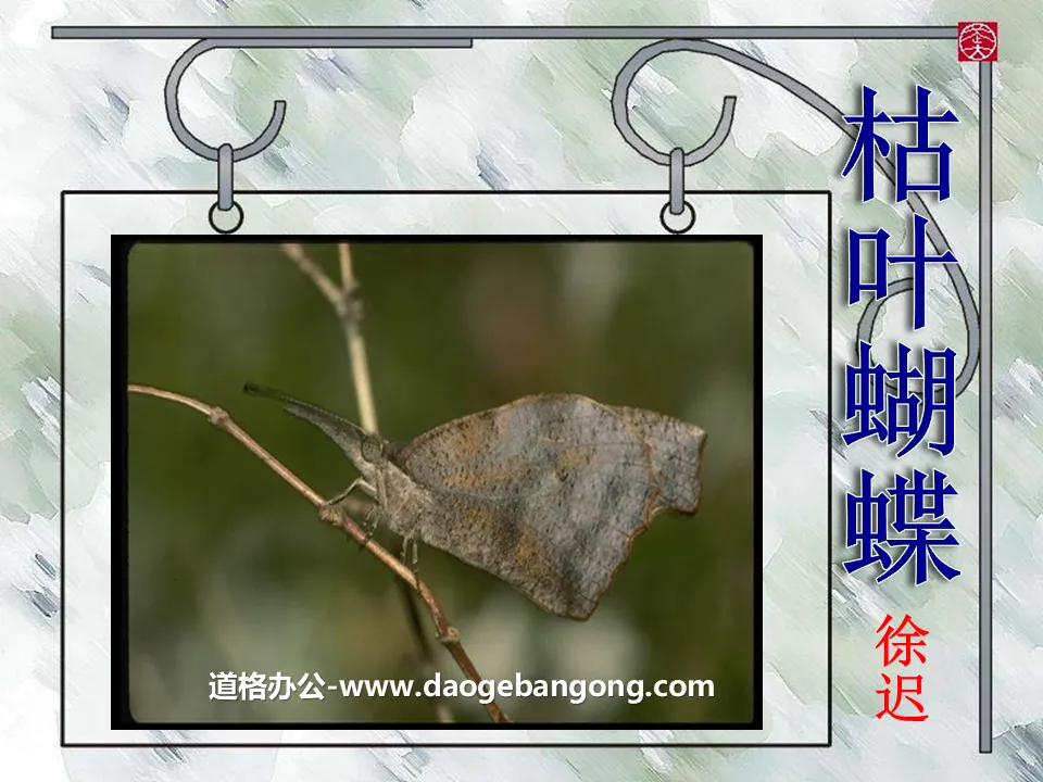 "Dead Leaf Butterfly" PPT courseware 2
