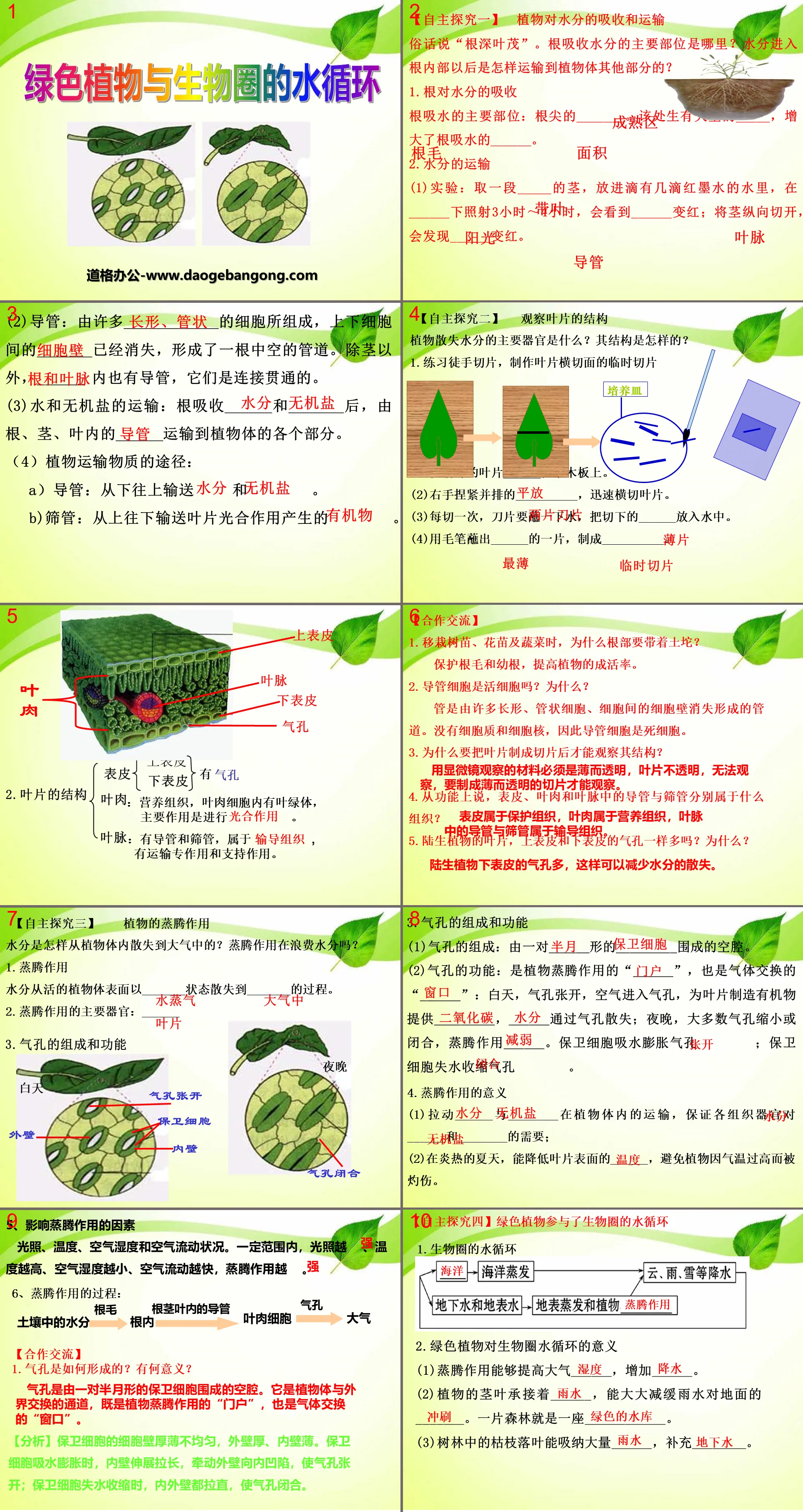 "Green Plants and the Water Cycle of the Biosphere" PPT Courseware 3