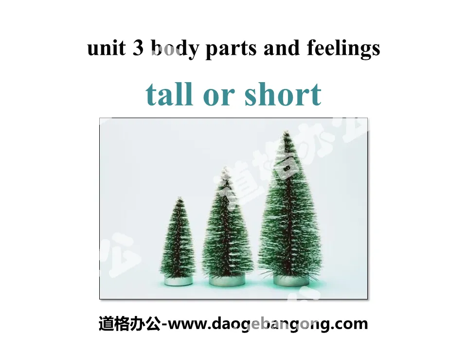 《Tall or Short》Body Parts and Feelings PPT