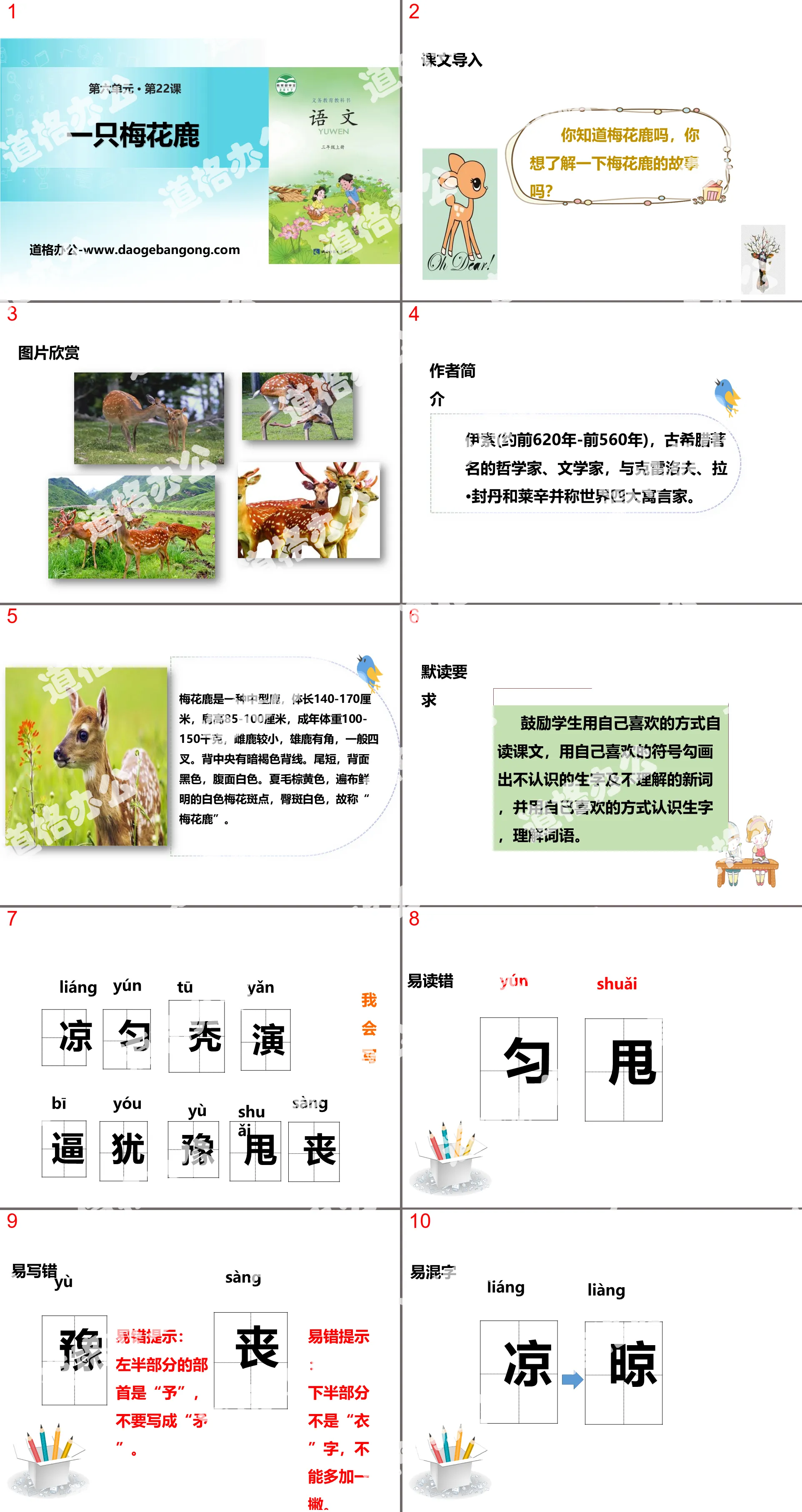 "A Sika Deer" PPT