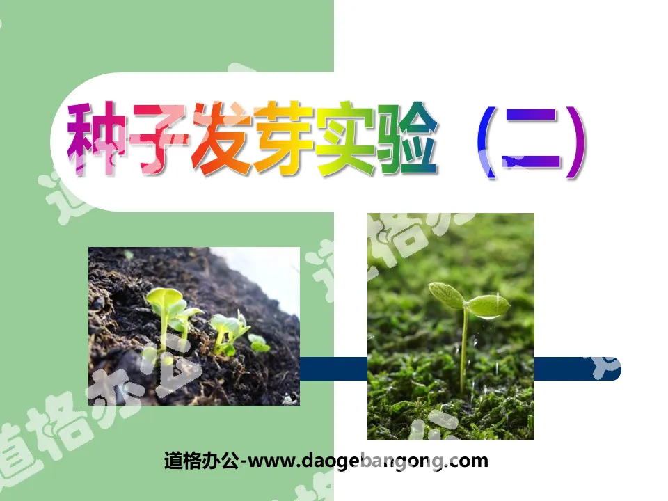 "Seed Germination Experiment (2)" Biology and Environment PPT Courseware 3