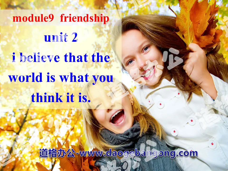 《I believe that the world is what you think it is》Friendship PPT课件3
