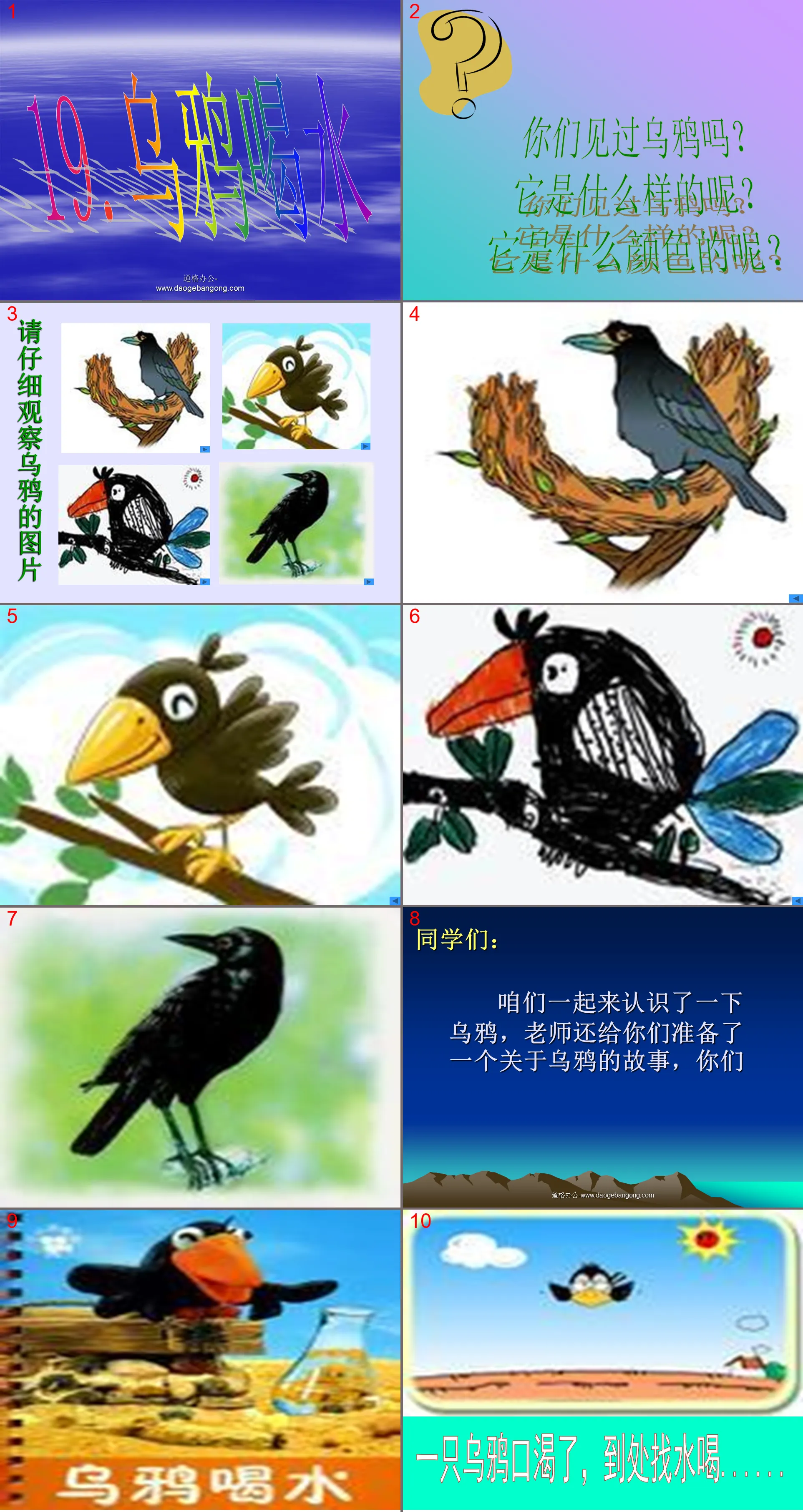 "Crow Drinks Water" PPT Courseware 4