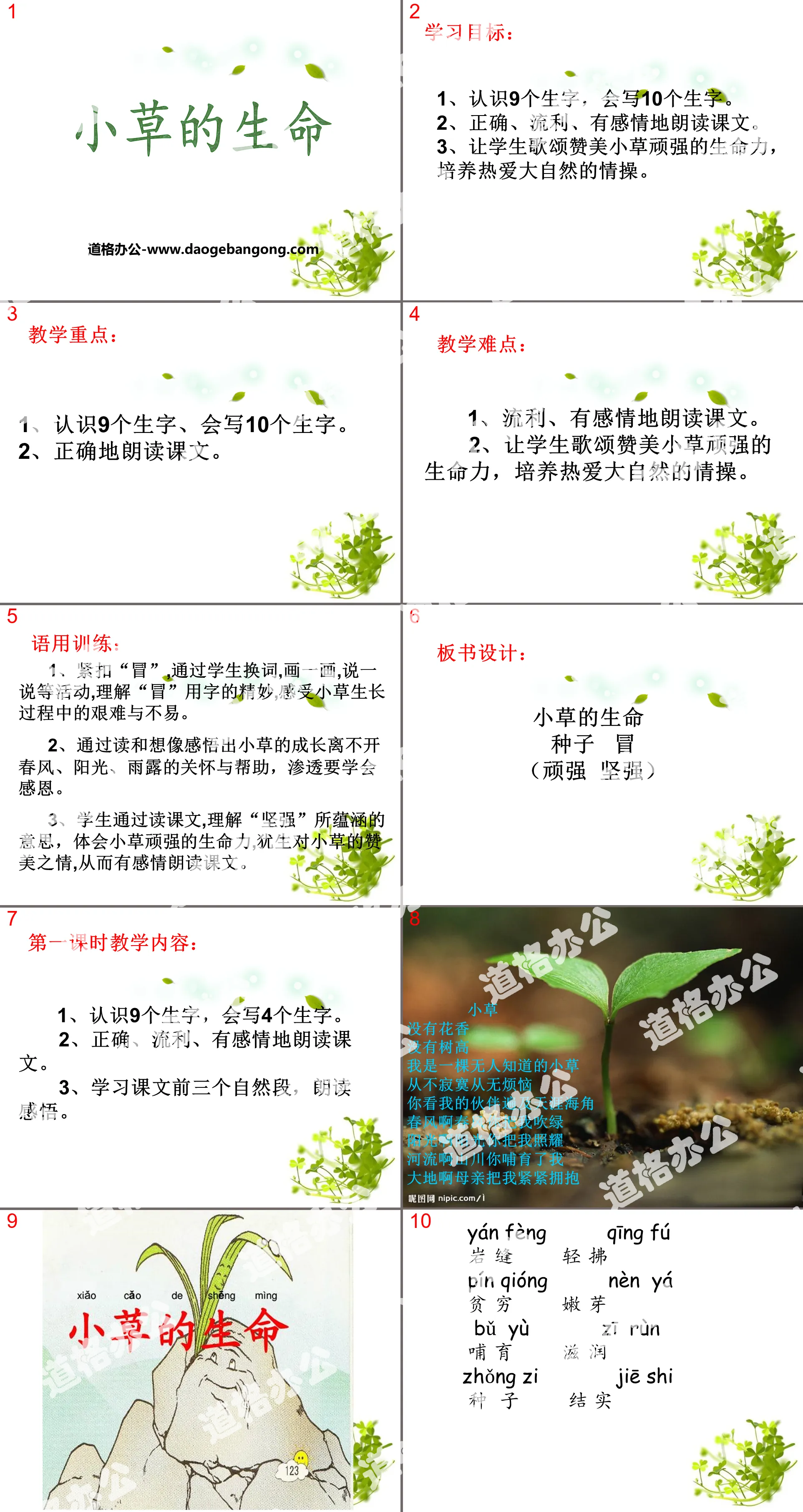 《小草的生命》PPT
