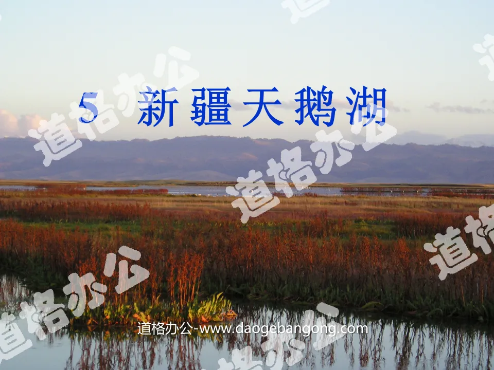 《新疆天鵝湖》PPT課程2