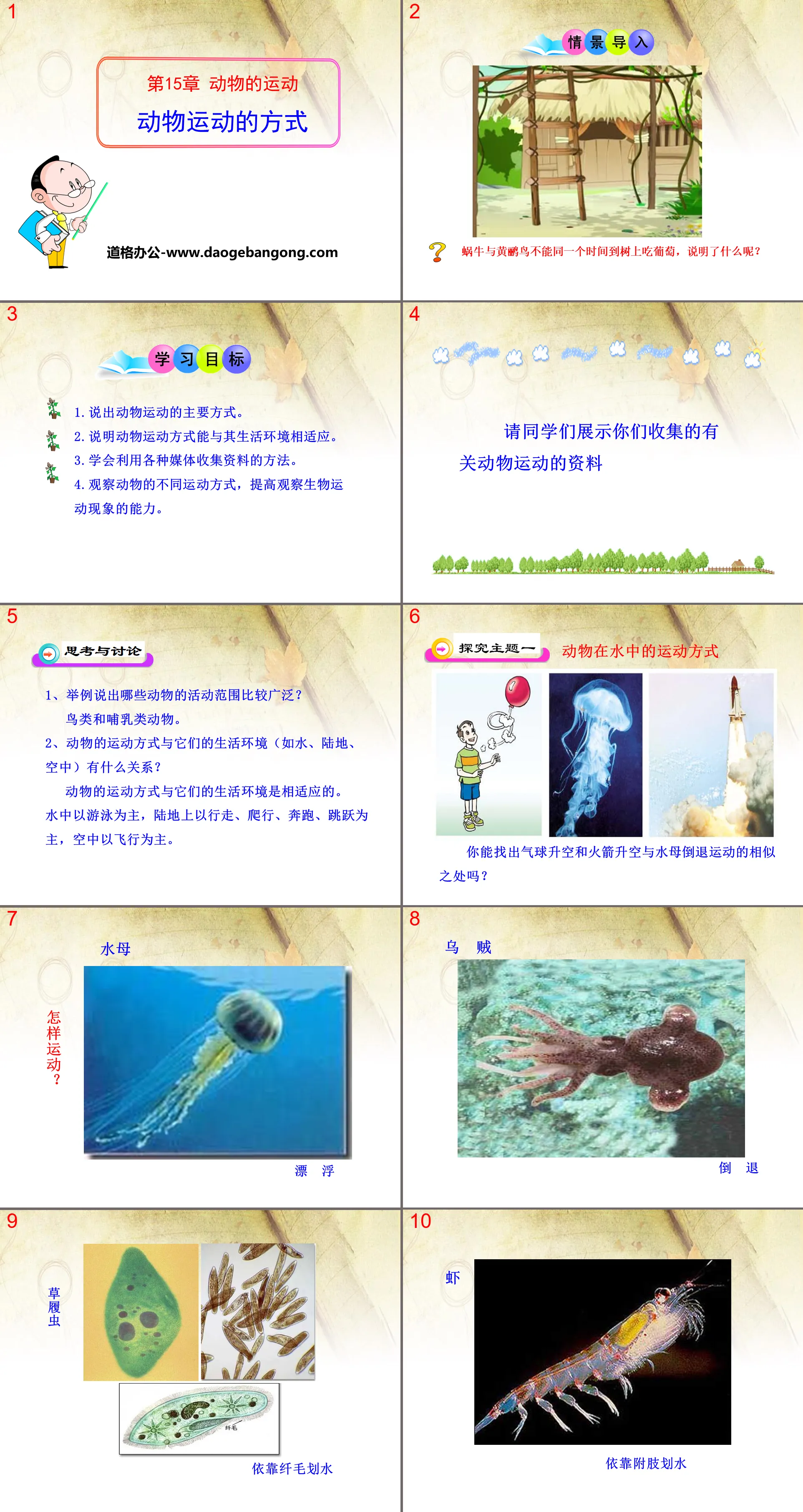 《動物運動的方式》PPT