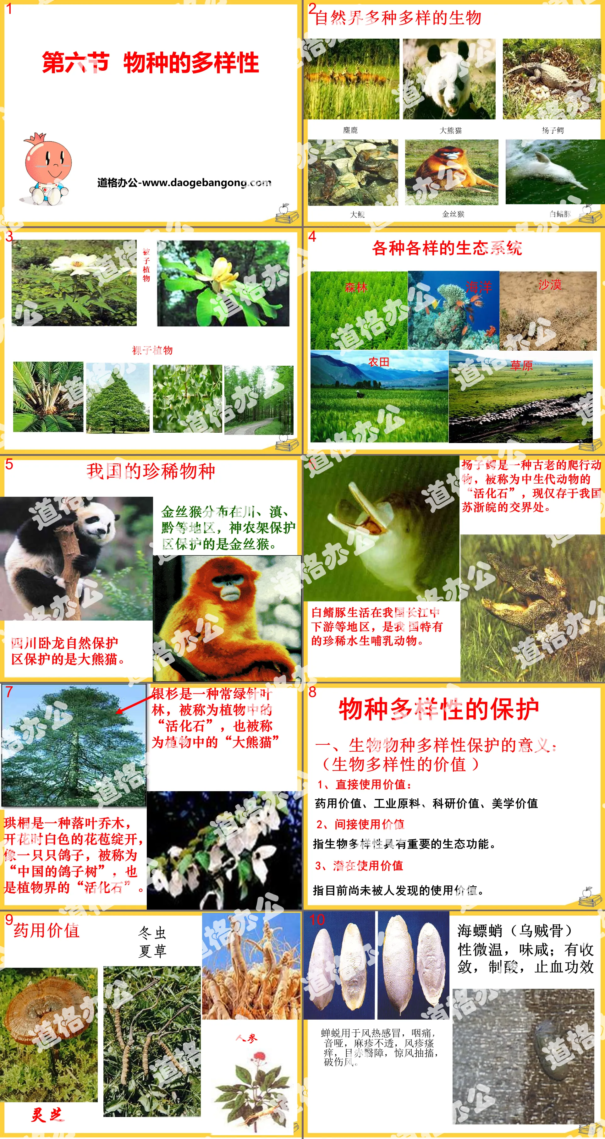 "Diversity of Species" PPT courseware