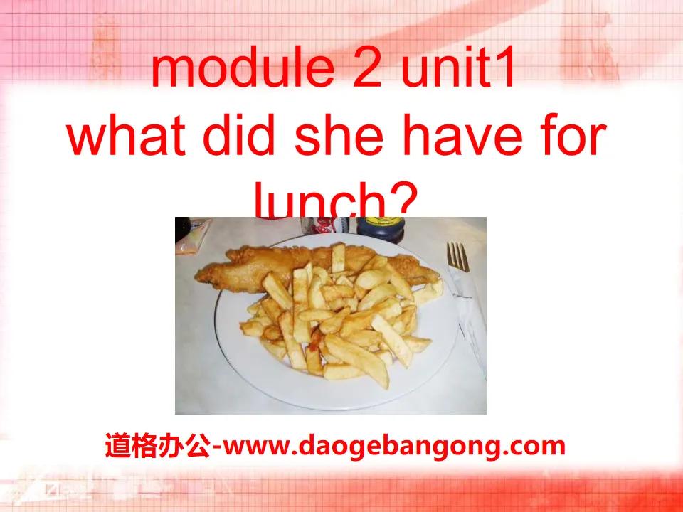 《What did she have for lunch?》PPT课件4
