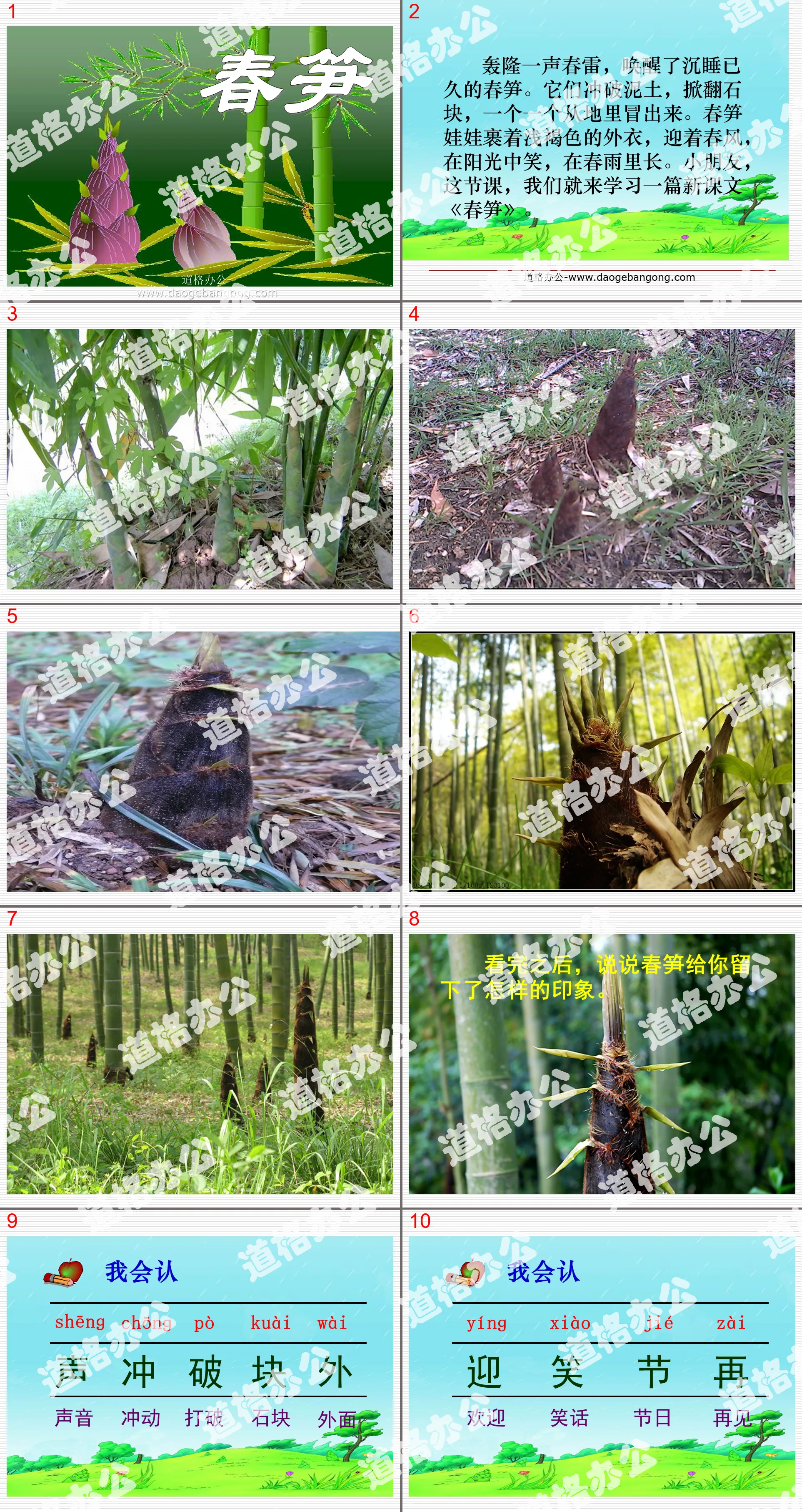 "Spring Bamboo Shoots" PPT Courseware 2