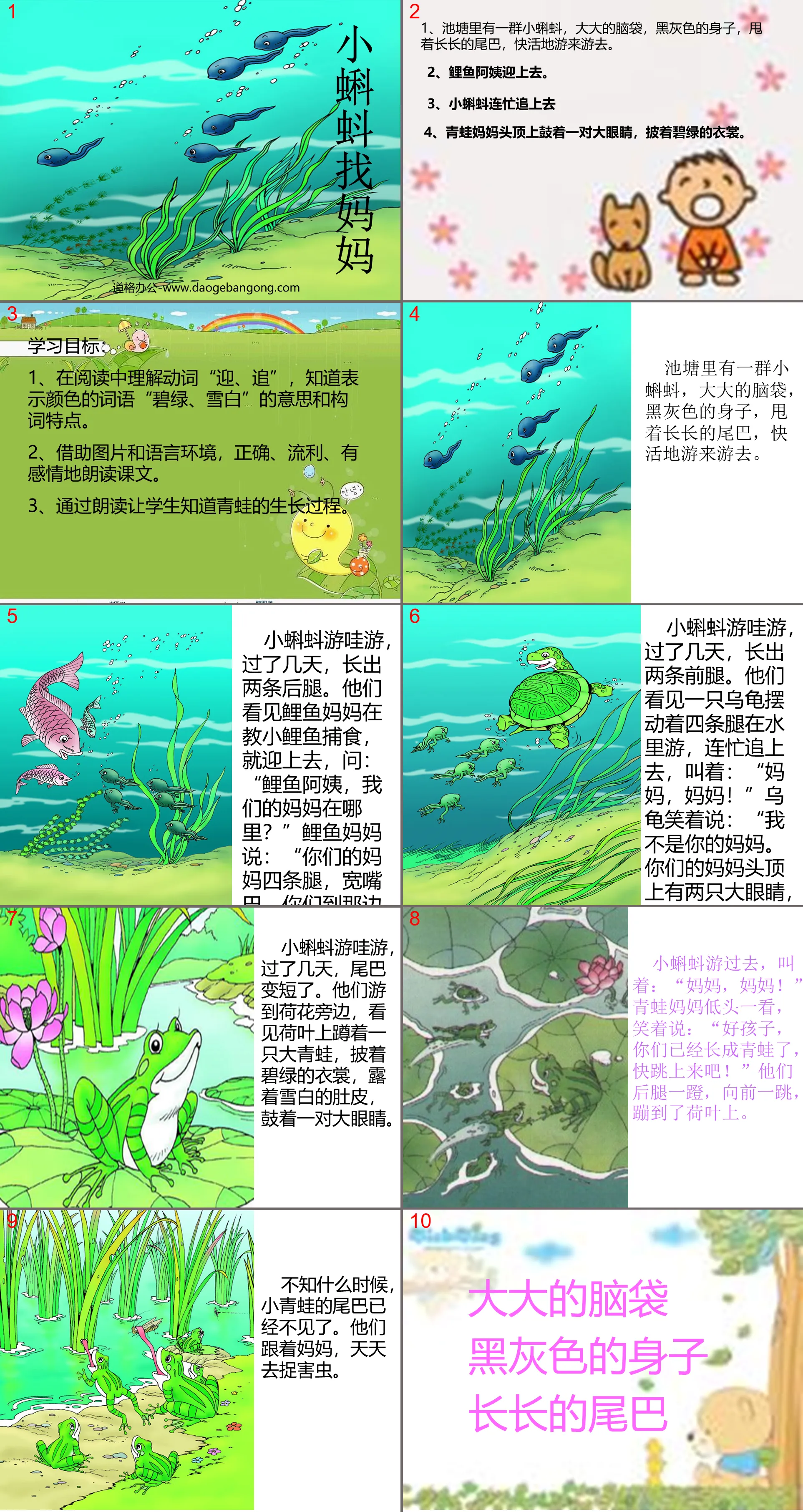 "Tadpole Looking for Mom" ​​PPT Courseware 2