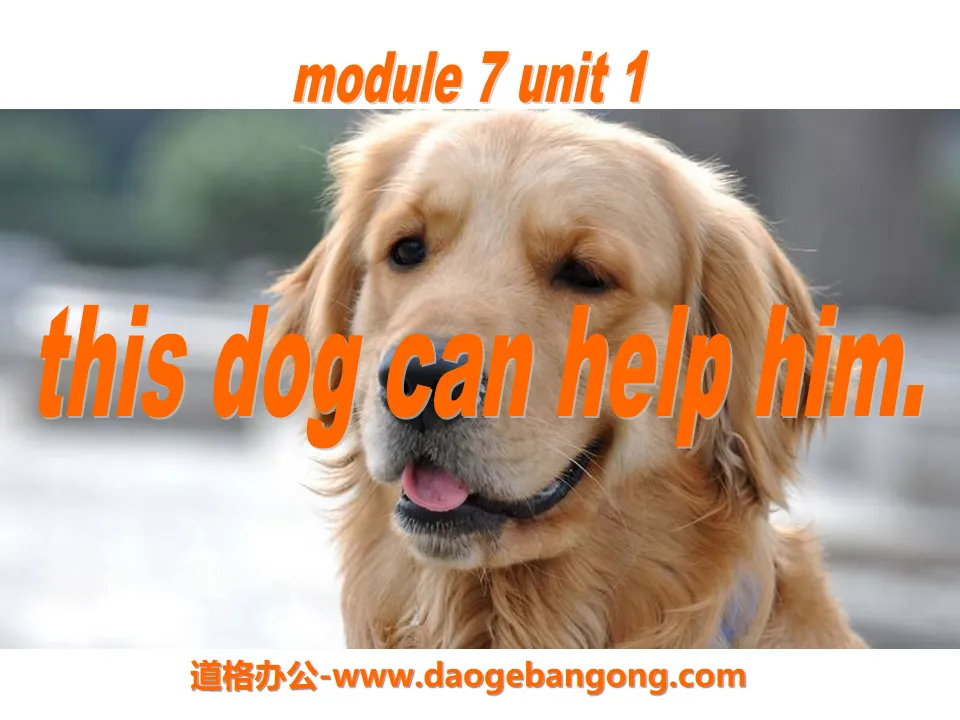 《This dog can help him》PPT课件3
