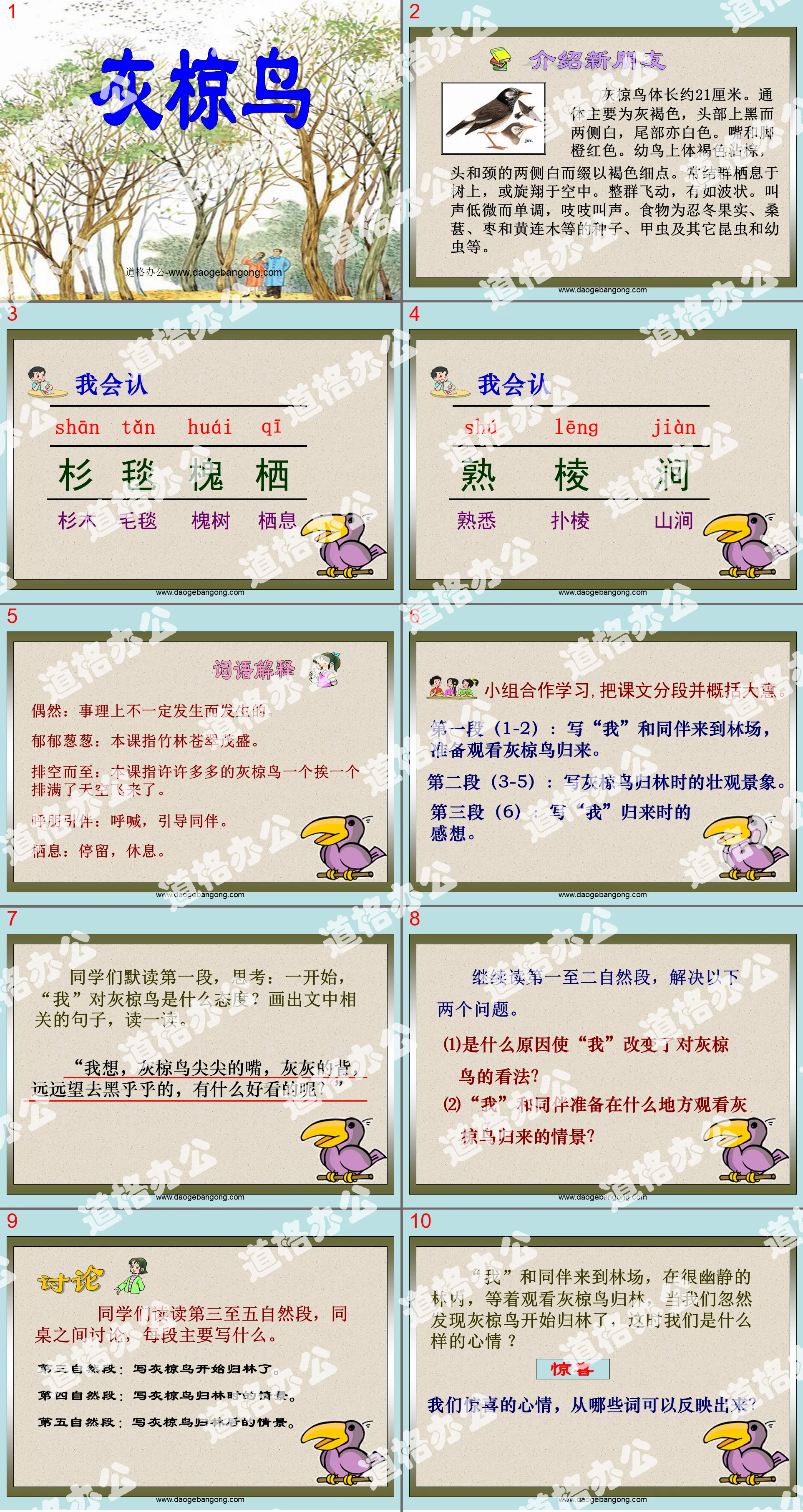 《灰椋鳥》PPT課件2