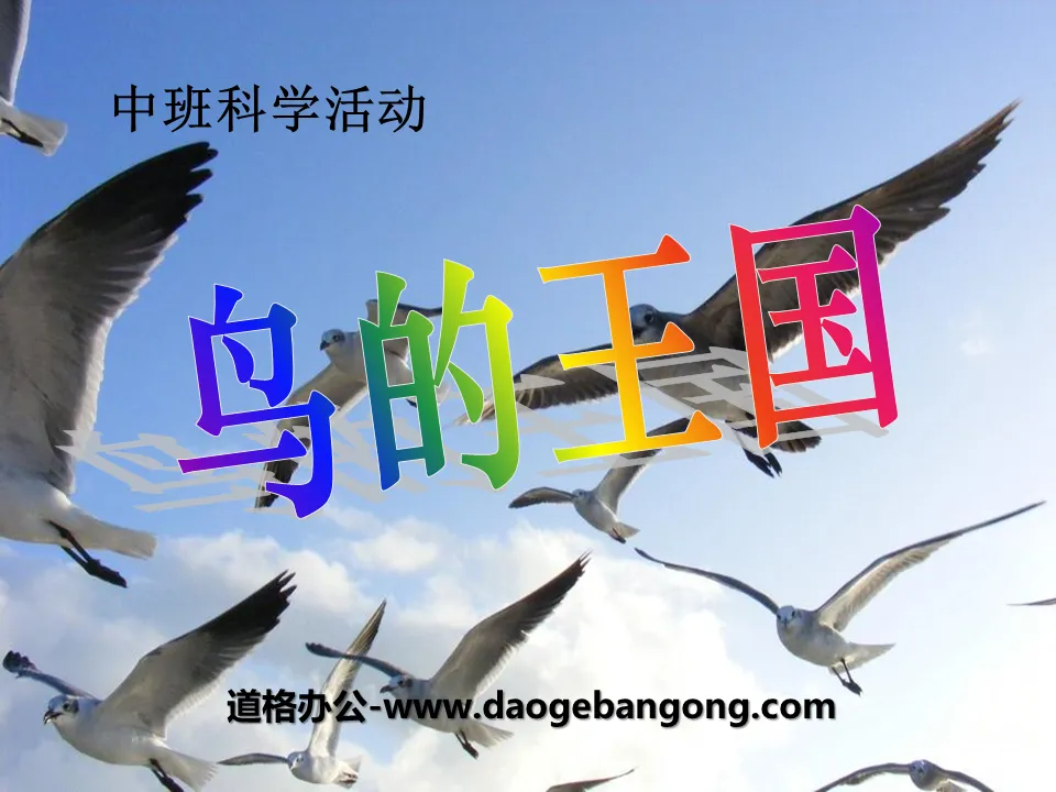 "The Kingdom of Birds" PPT courseware