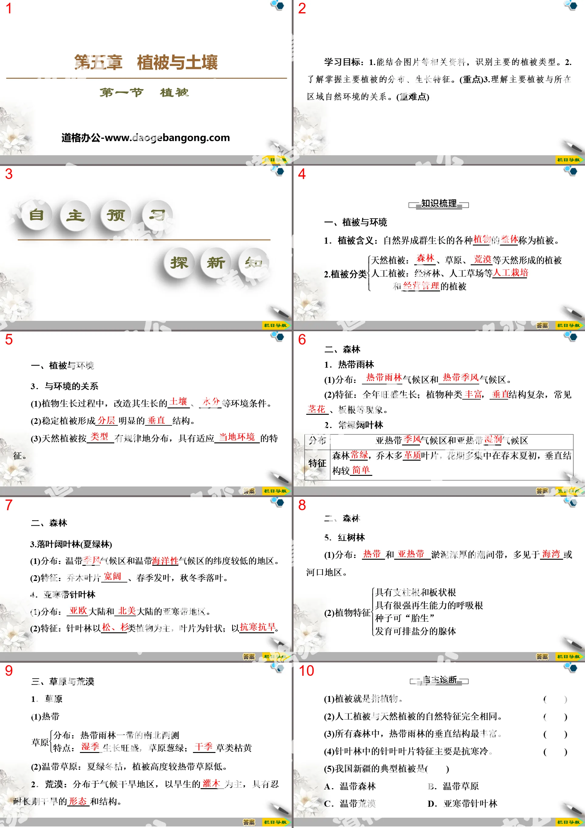 《植被》植被与土壤PPT
