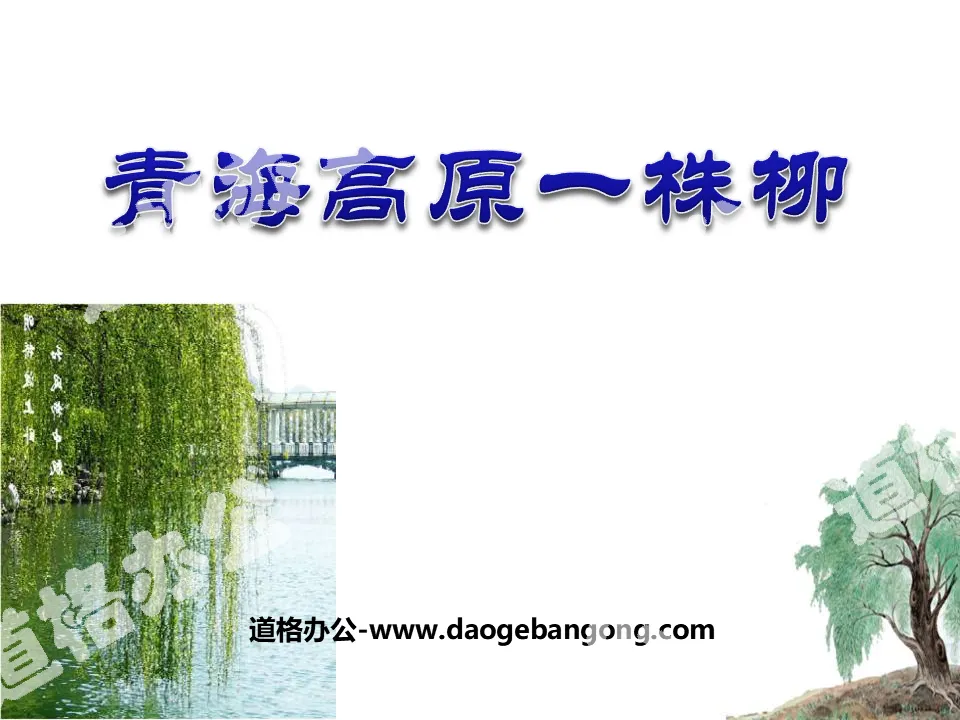 "A Willow on the Qinghai Plateau" PPT courseware 4