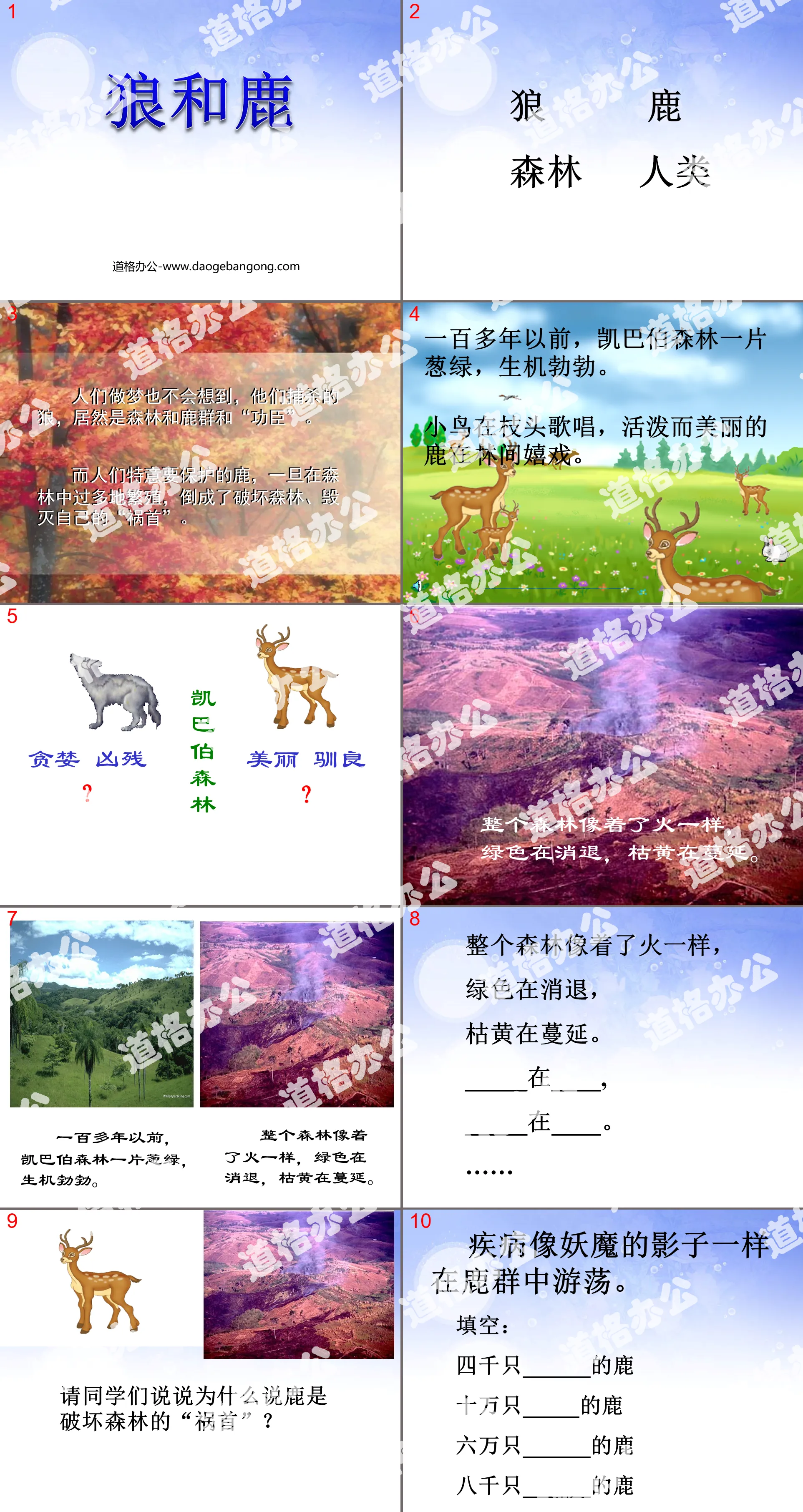 "Wolf and Deer" PPT courseware 3