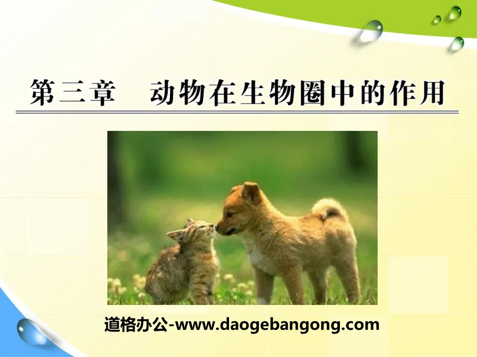 "The Role of Animals in the Biosphere" PPT Courseware 5