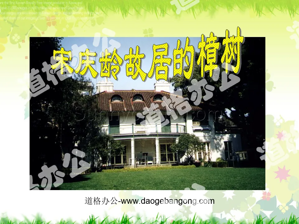 "The Camphor Tree in Soong Ching Ling's Former Residence" PPT courseware