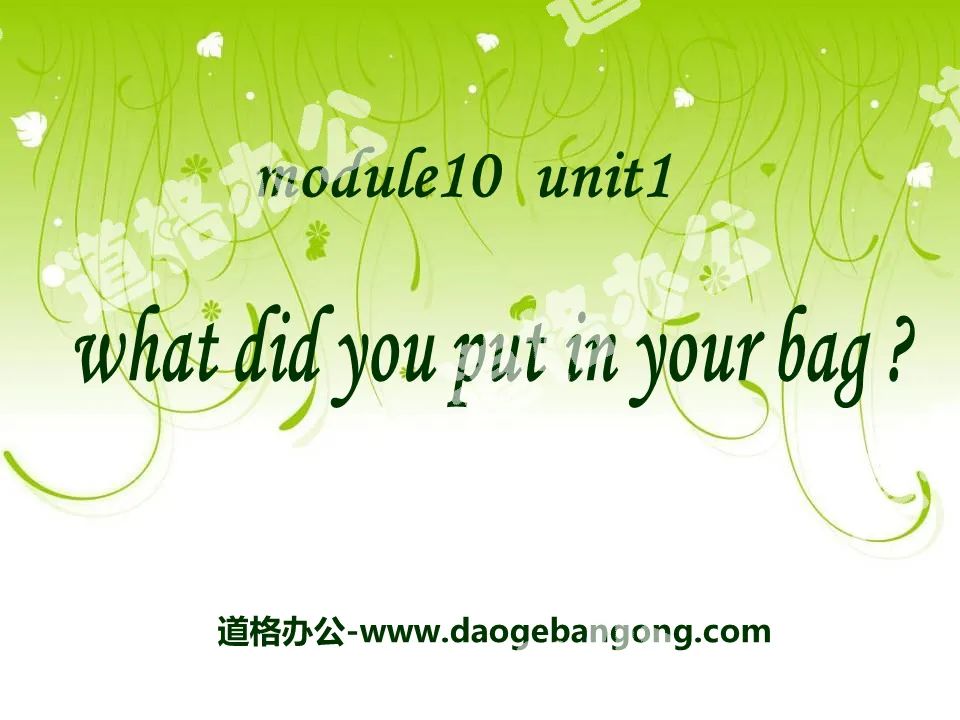 《what did you put in your bag?》PPT课件
