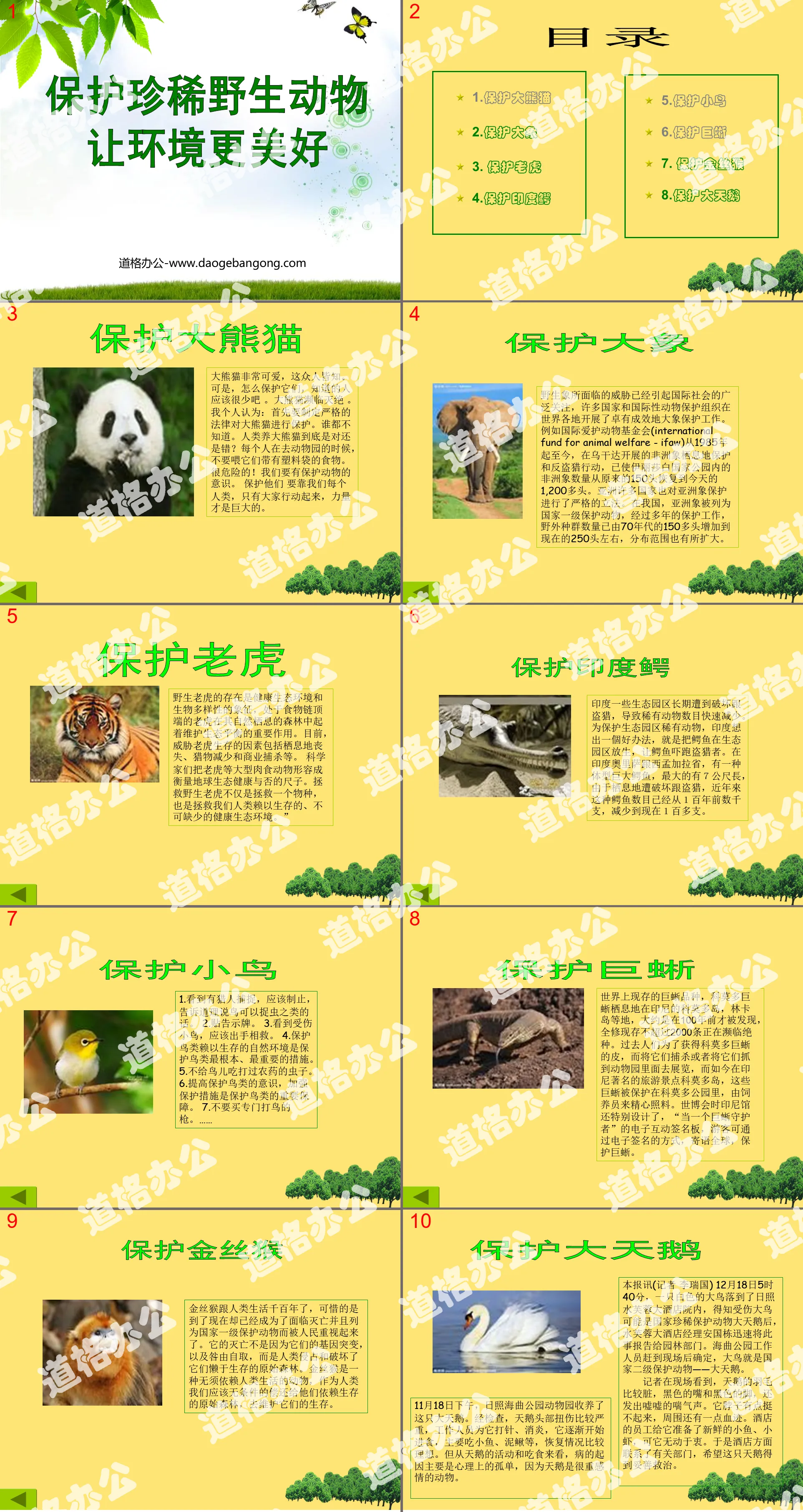 "Protecting Rare Wild Animals" PPT Courseware 4