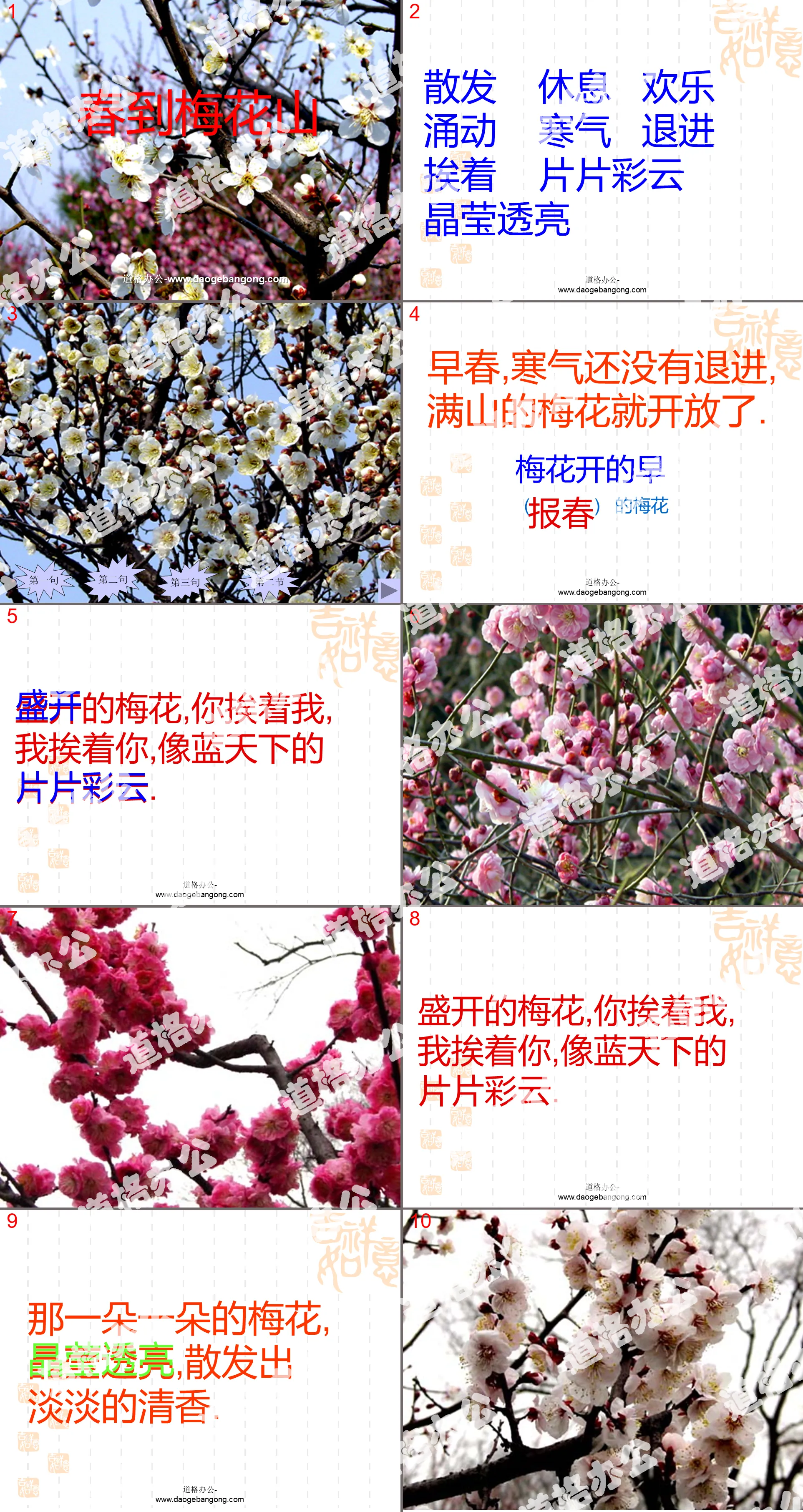 "Spring Arrives at Plum Blossom Mountain" PPT courseware