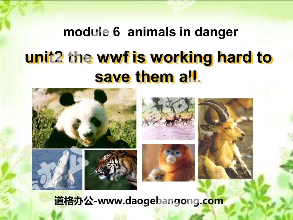 《The WWF is working hard to save them all》Animals in danger PPT课件2
