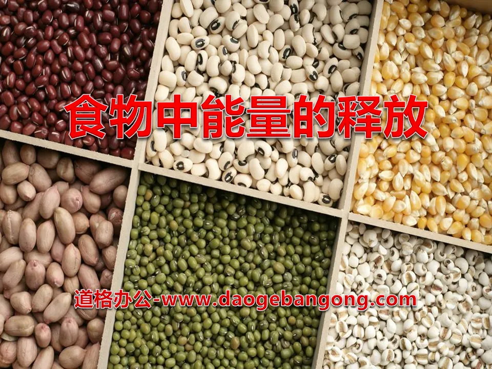 《食物中能量的釋放》PPT