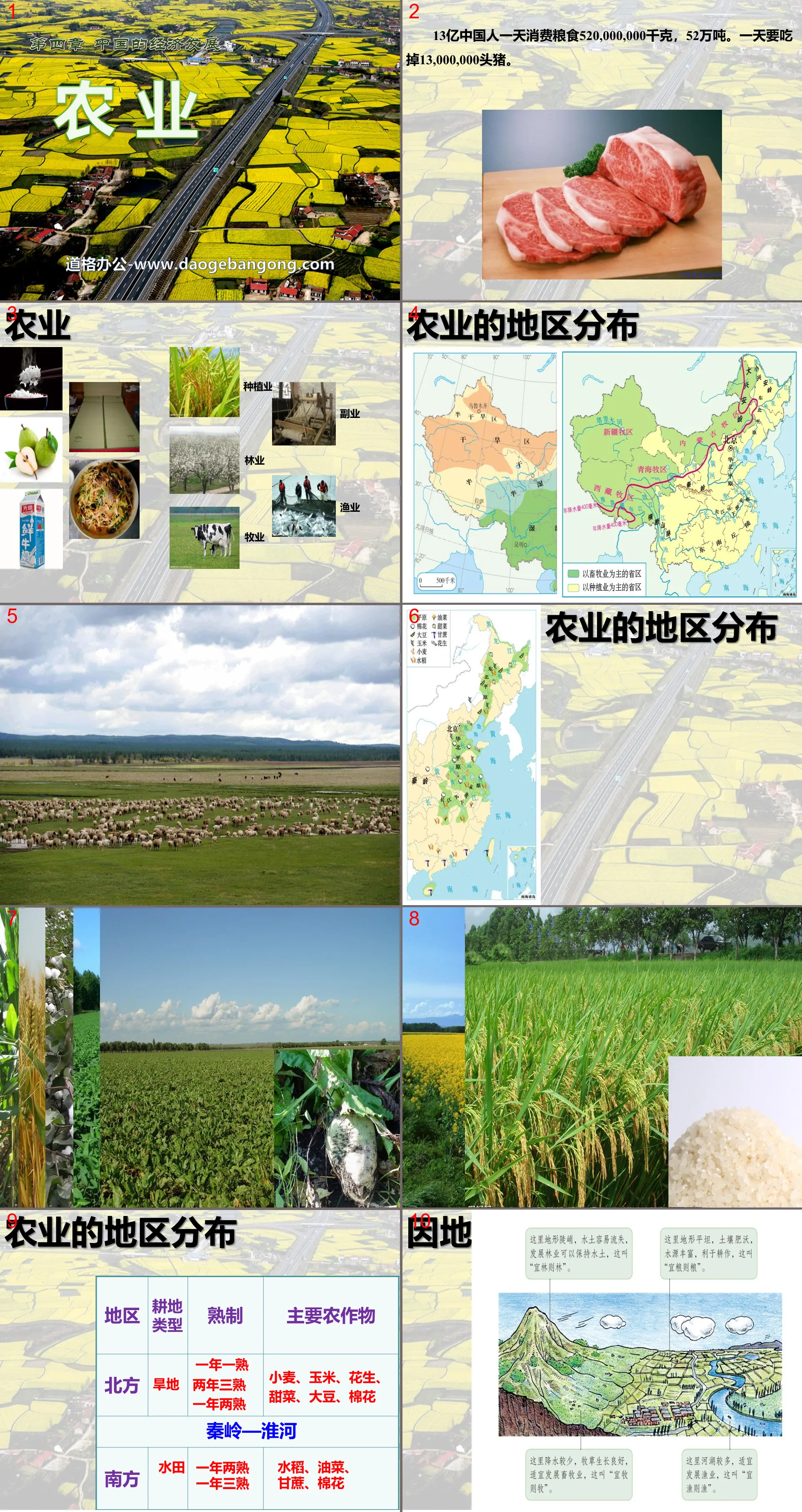 "Agriculture" China's Economic Development PPT Courseware 2