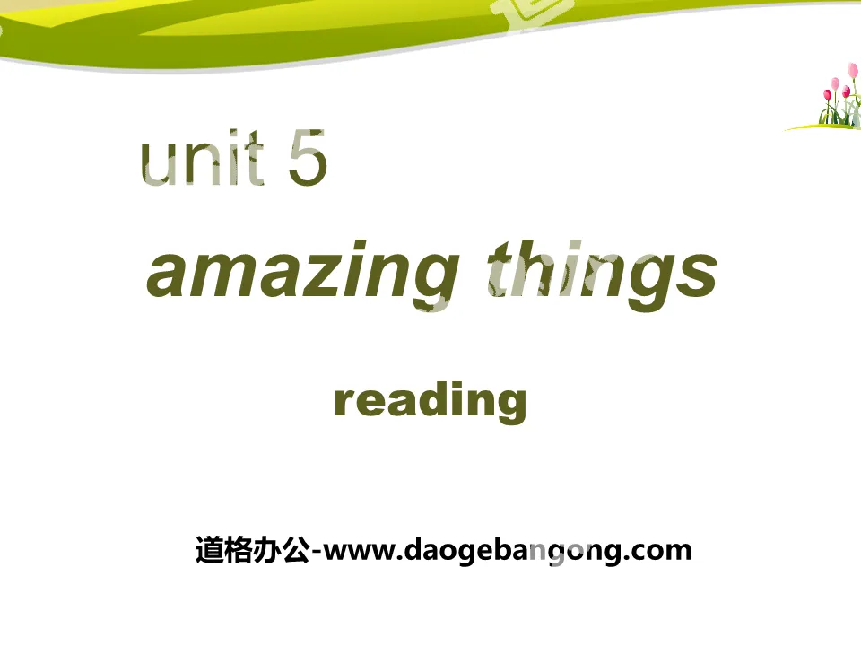 "Amazing things" ReadingPPT
