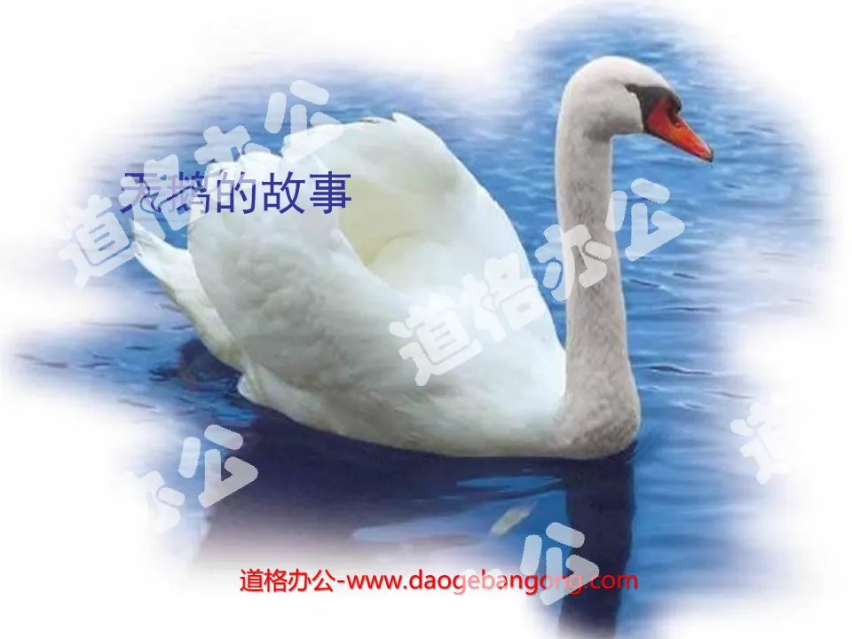 "The Story of the Swan" PPT Courseware 3
