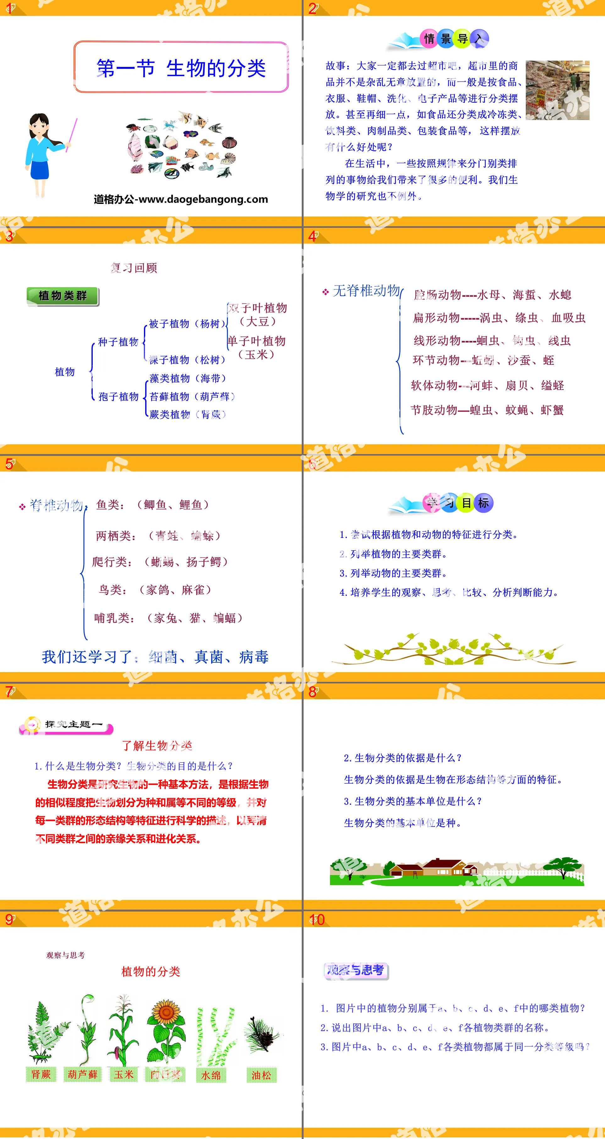 《生物的分类》PPT