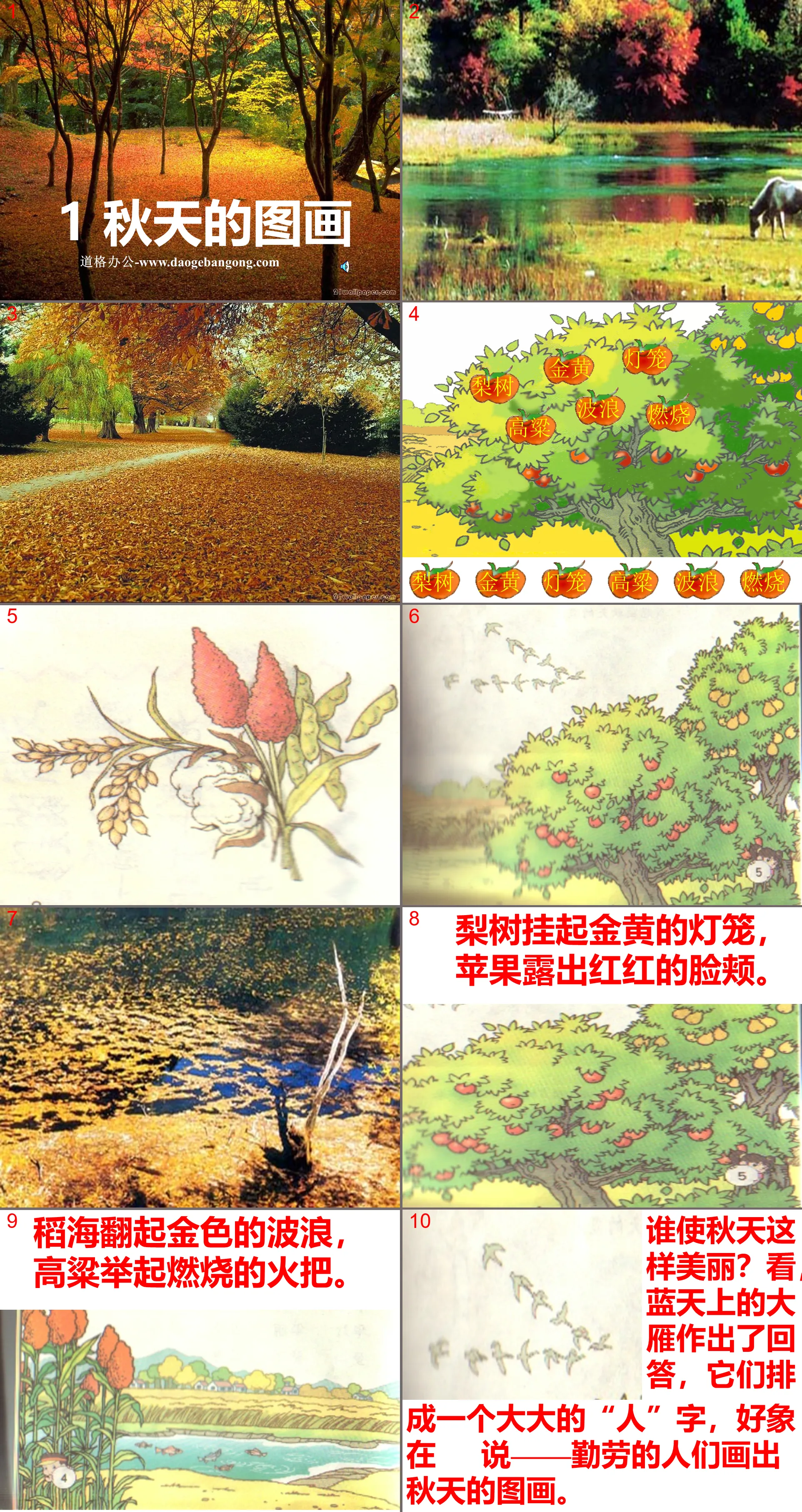 "Autumn Pictures" PPT teaching courseware download 2