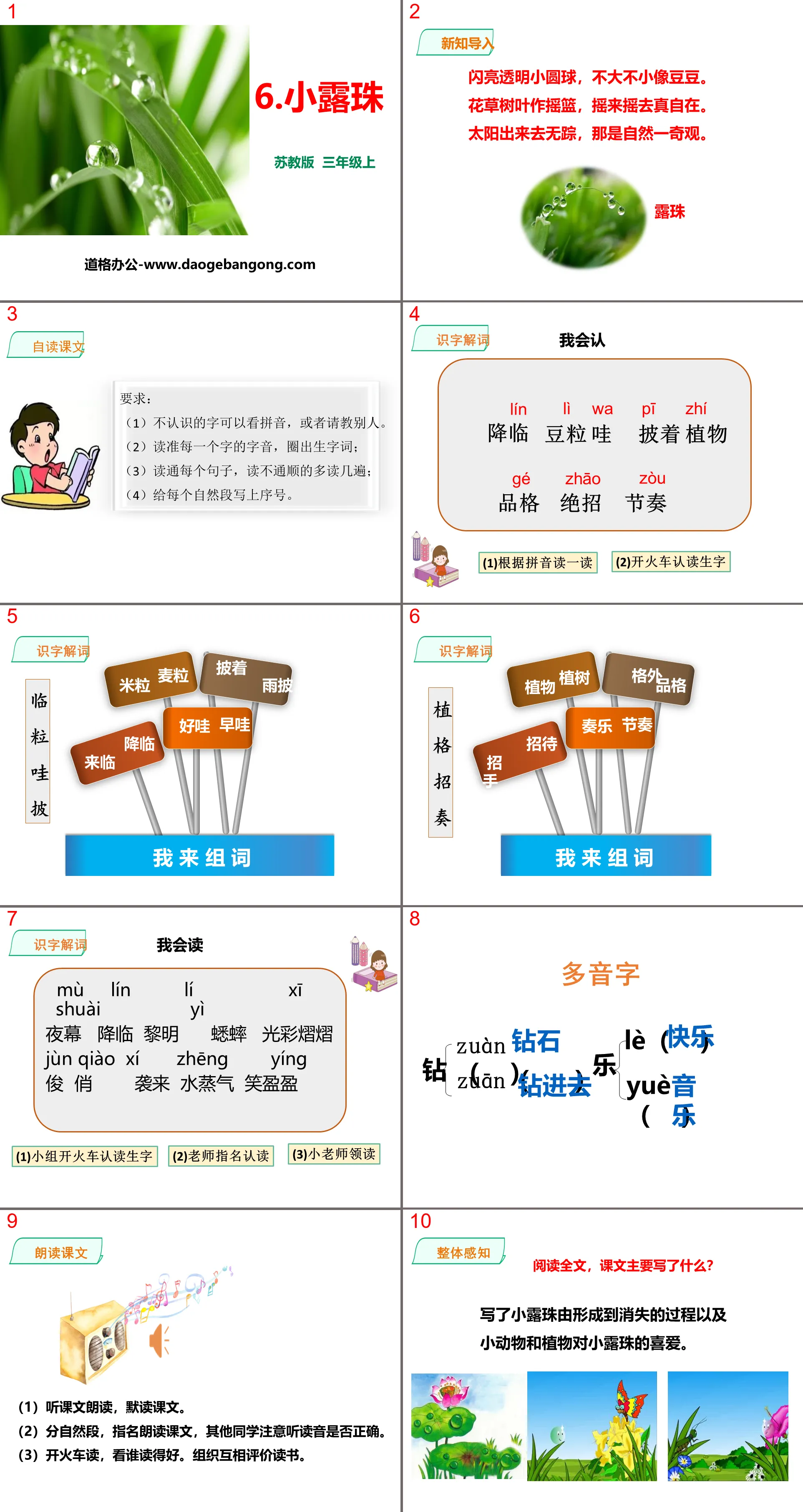 《小露珠》PPT