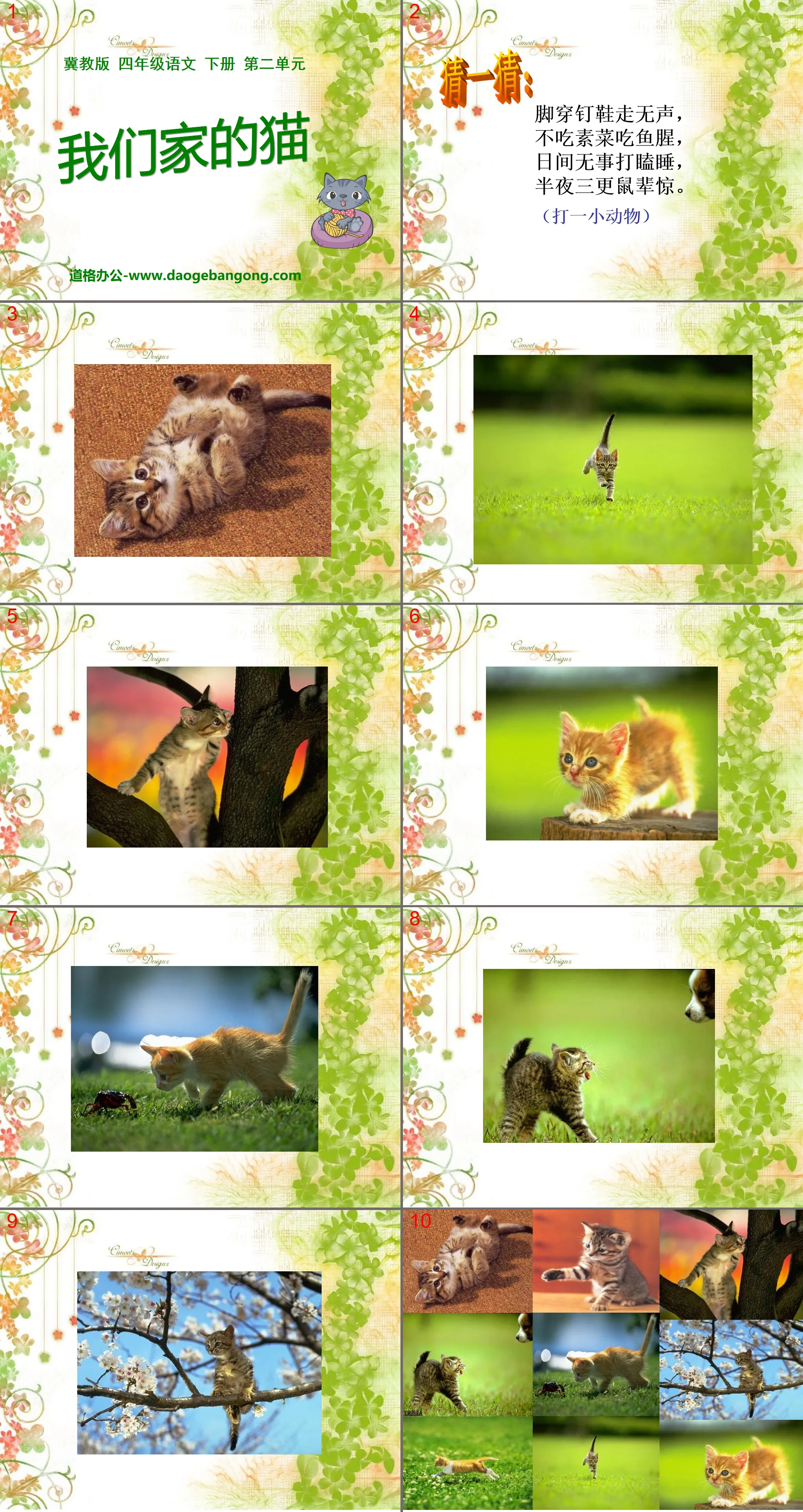 "Our Cat" PPT Courseware 2