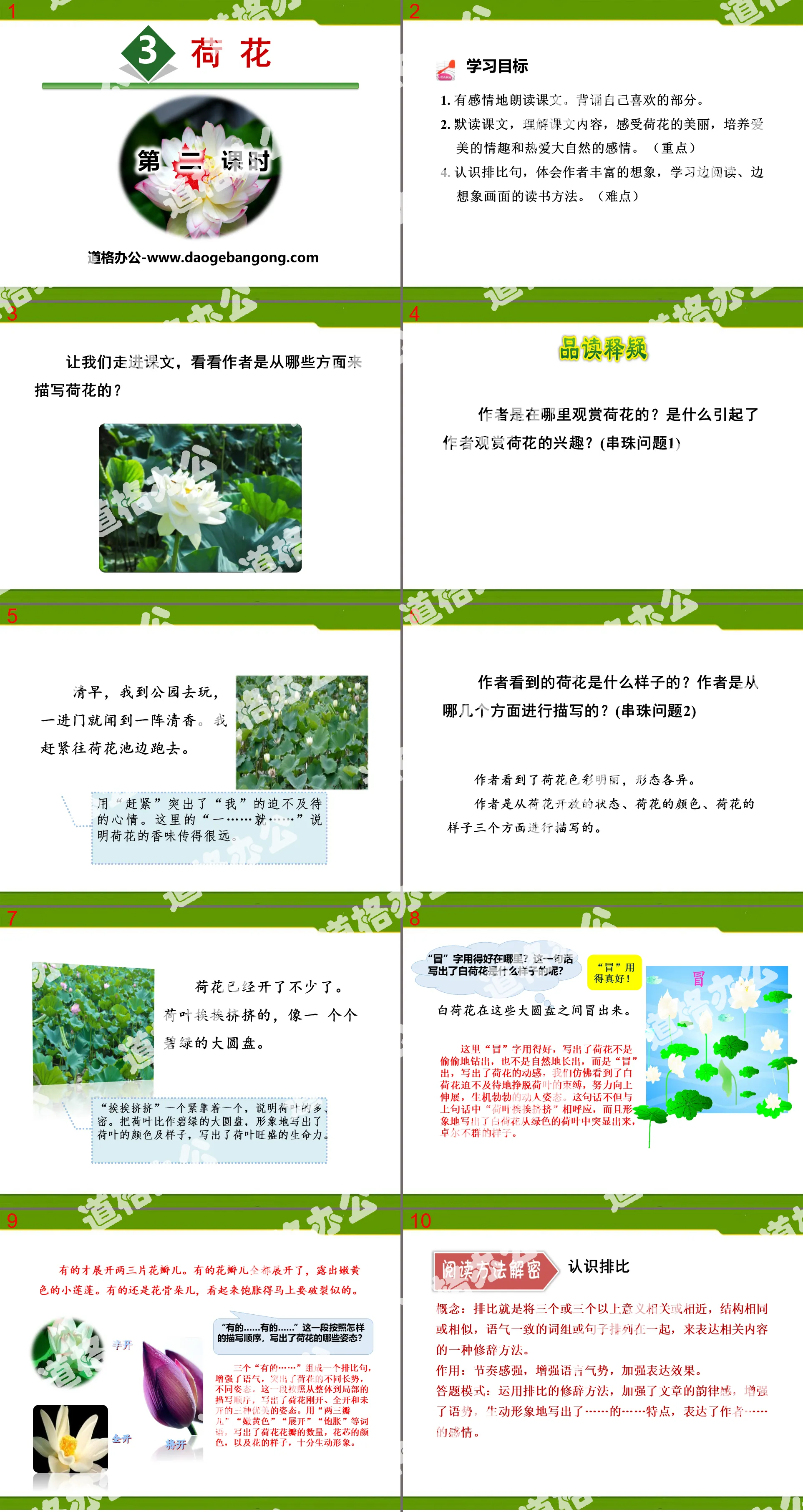 《荷花》PPT(第二课时)