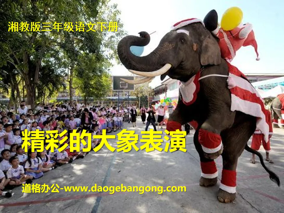 Didacticiel PPT « Wonderful Elephant Performance » 2