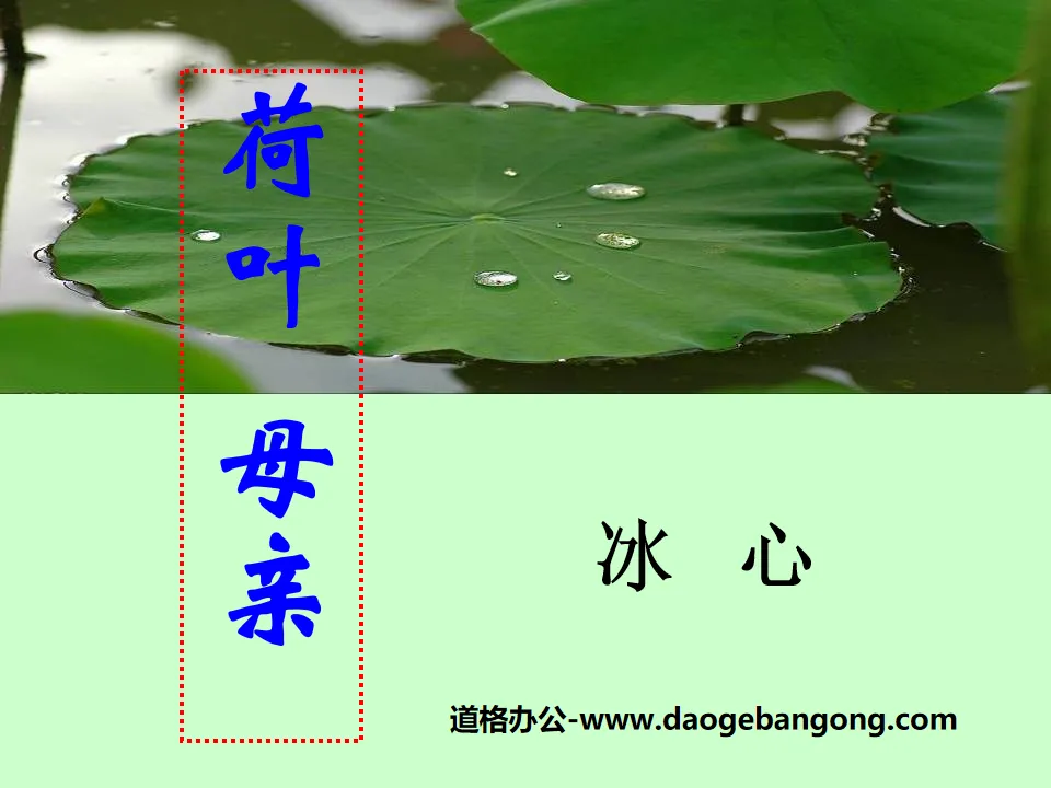 "Lotus Leaf Mother" PPT courseware 3