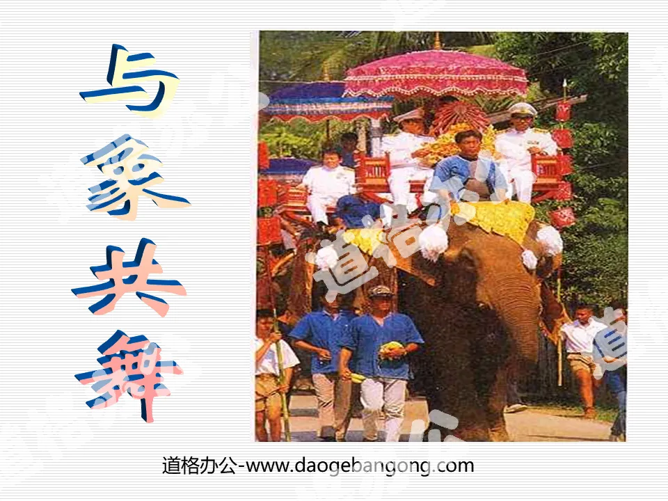 "Dancing with the Elephant" PPT courseware 3